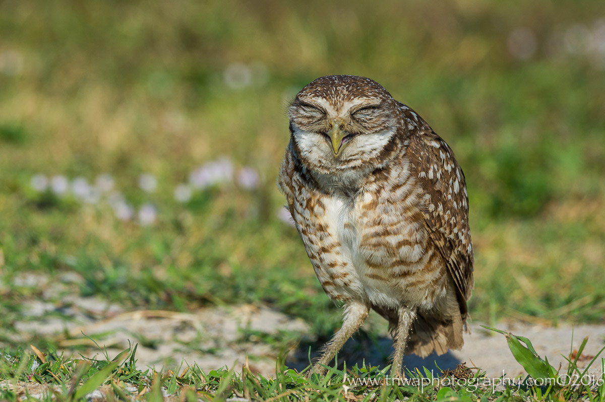 Nikon D3S sample photo. Must have been funny ...  :-) photography