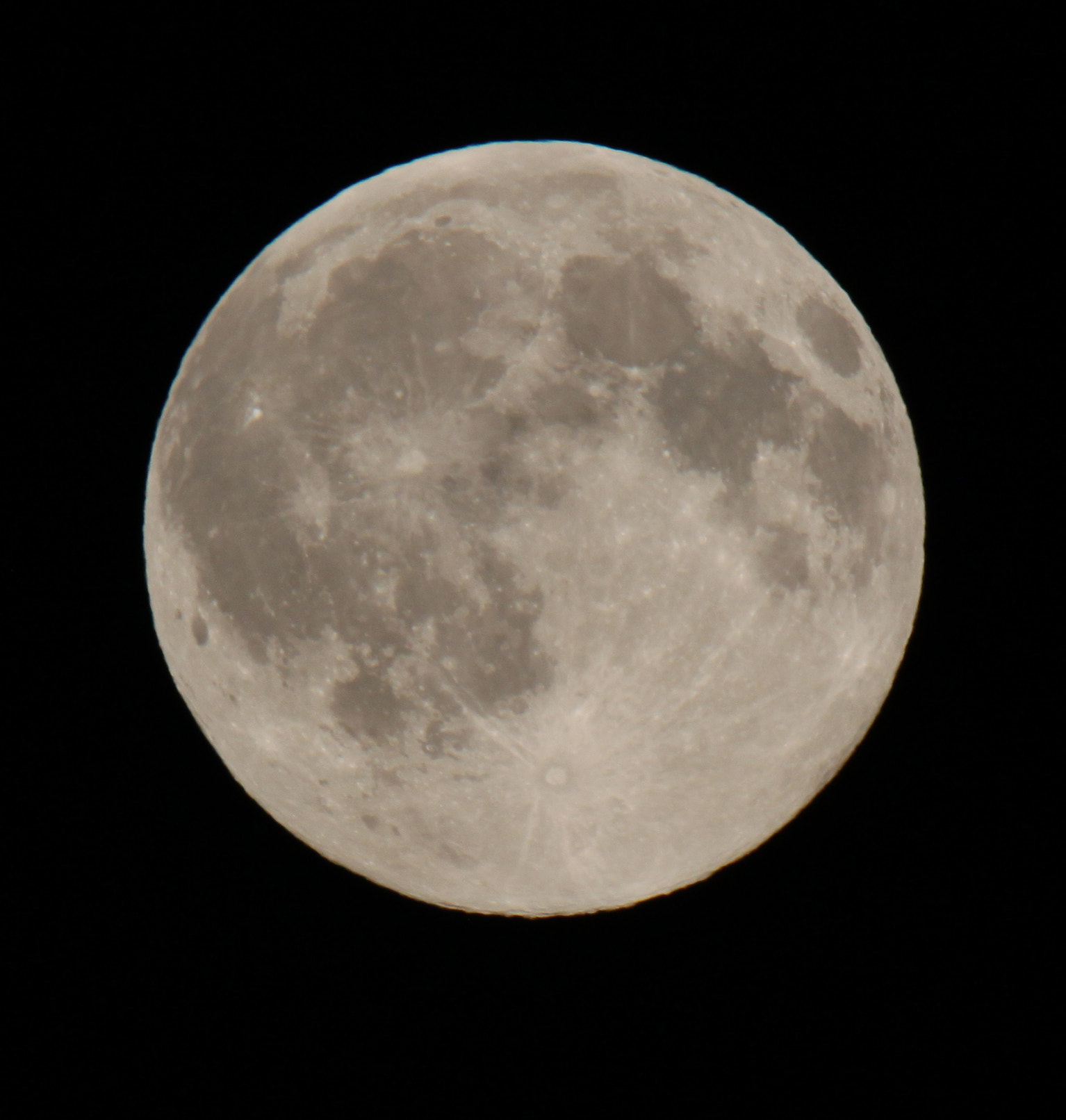Tamron SP 150-600mm F5-6.3 Di VC USD sample photo