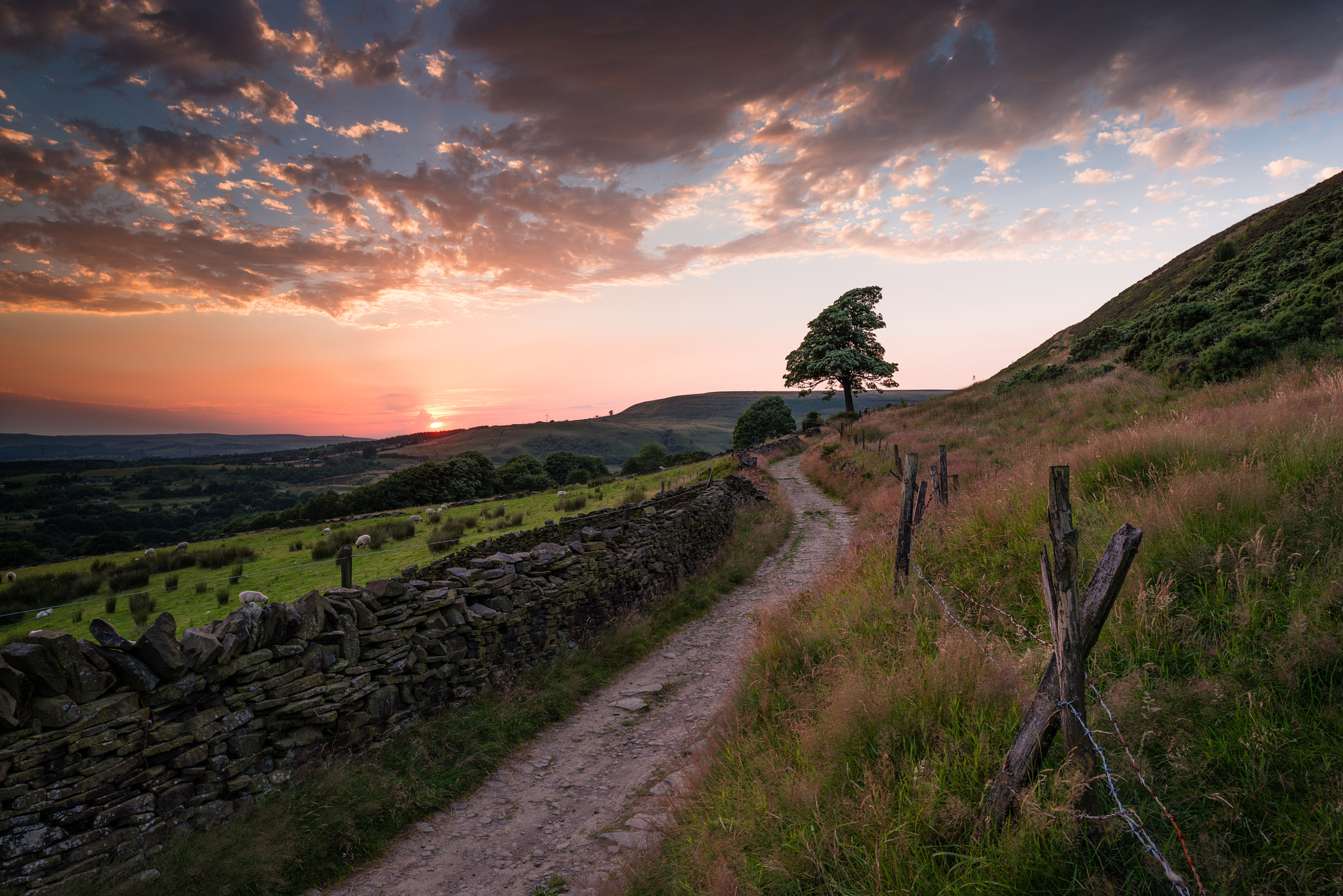 Nikon D800 + Nikon PC-E Nikkor 24mm F3.5D ED Tilt-Shift sample photo. Moorbottom road photography