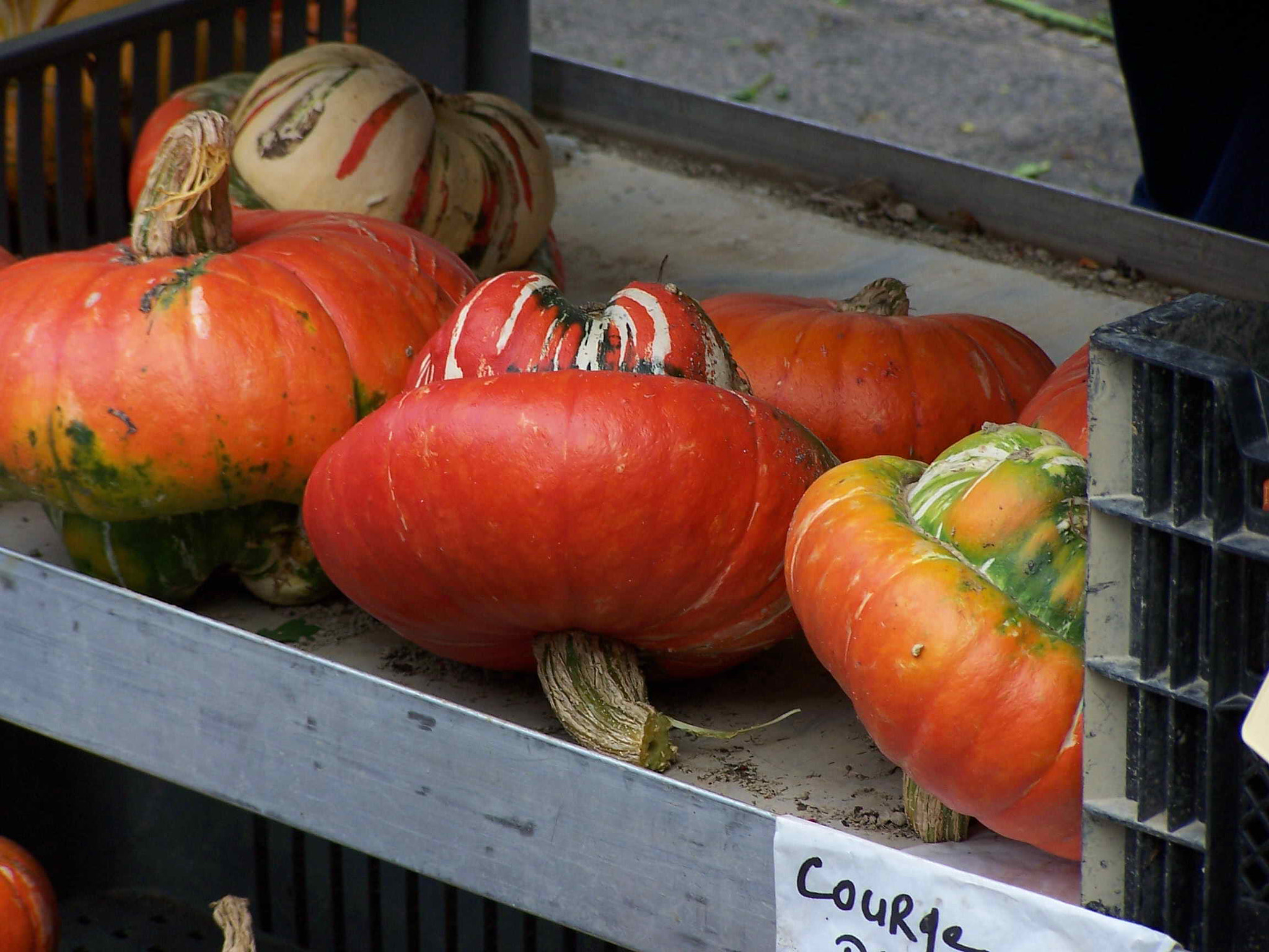 Kodak DX6490 ZOOM DIGITAL CAMERA sample photo. Pumpkin photography