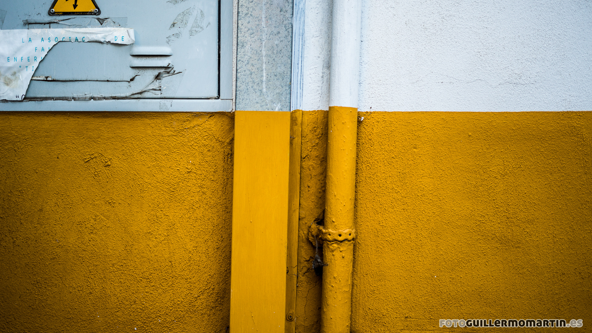 Sony a7R + Sony FE 50mm F1.8 sample photo. White/yellow photography