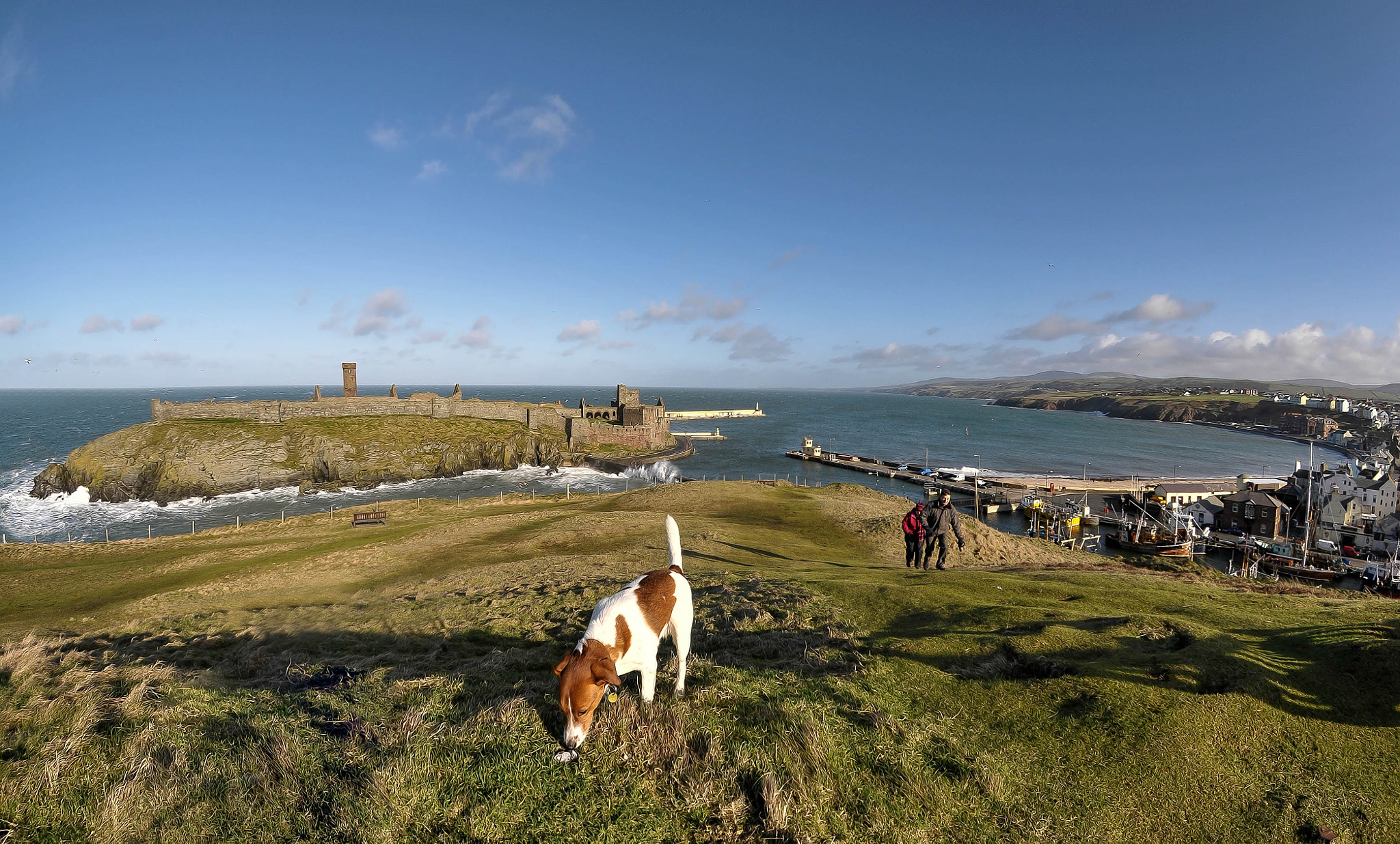 Nikon D300S + Nikon AF DX Fisheye-Nikkor 10.5mm F2.8G ED sample photo. Peel bay.  photography