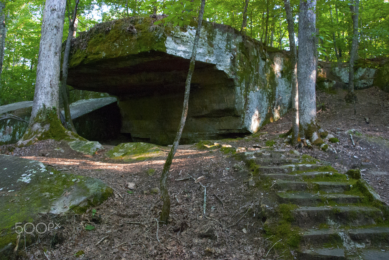 Nikon D40X sample photo. Ccc trail tishomingo two photography