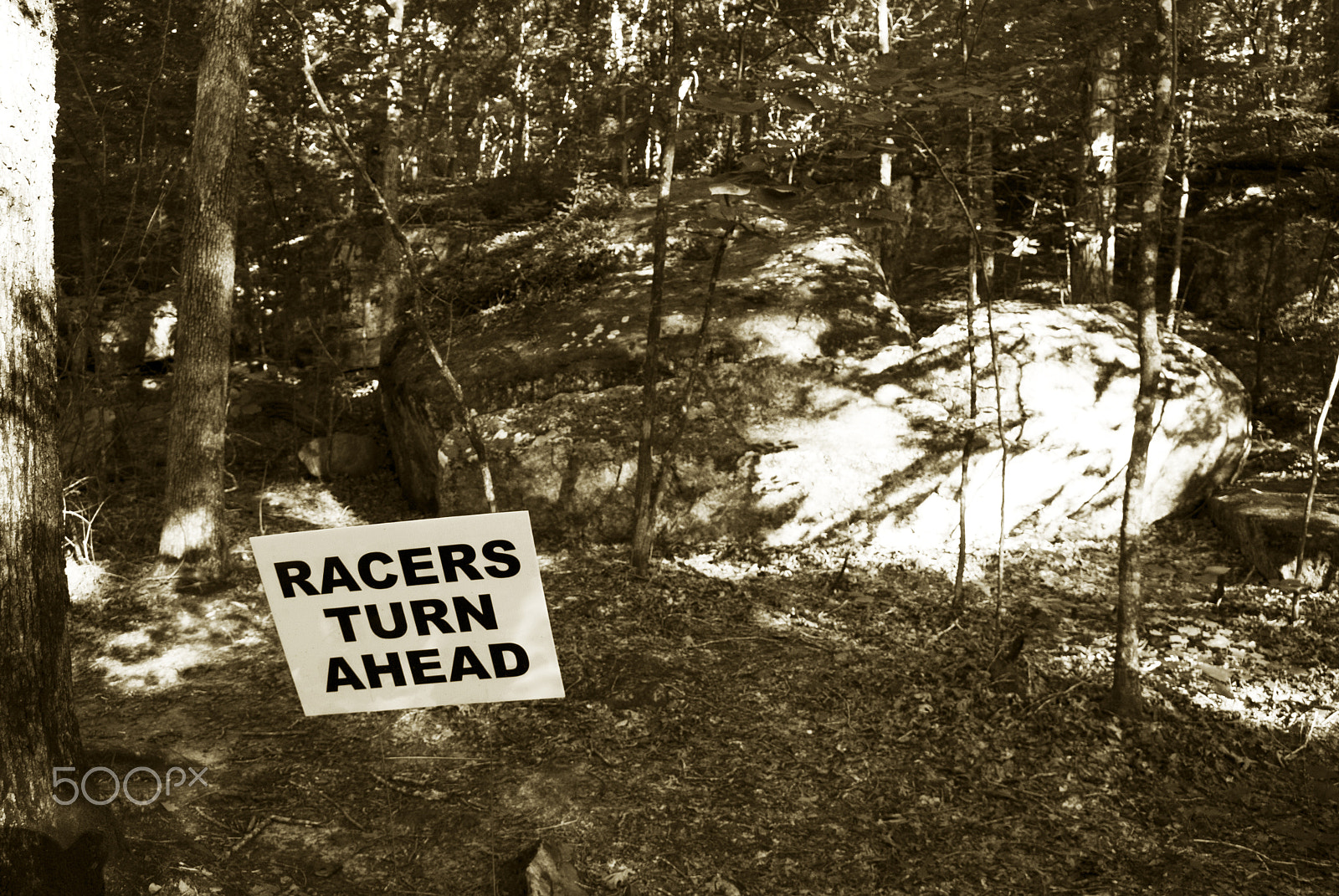 Nikon D40X sample photo. Racers turn ahead photography