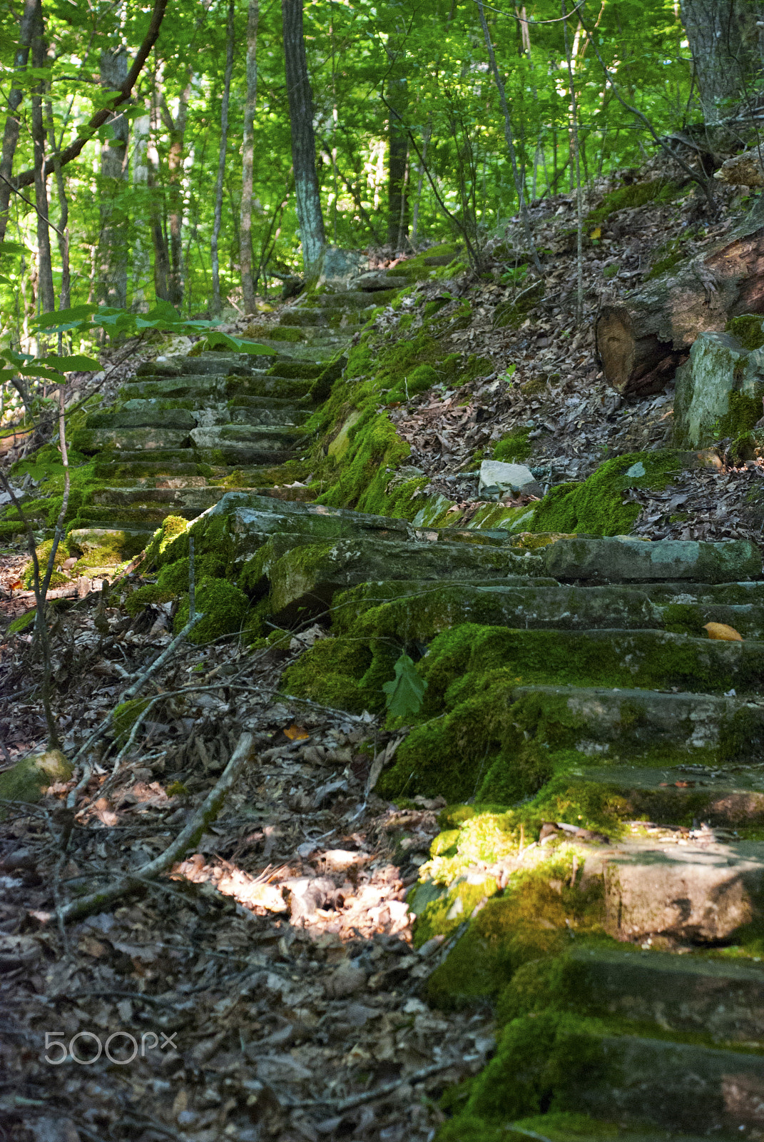 Nikon D40X sample photo. Stone steps tishomingo photography