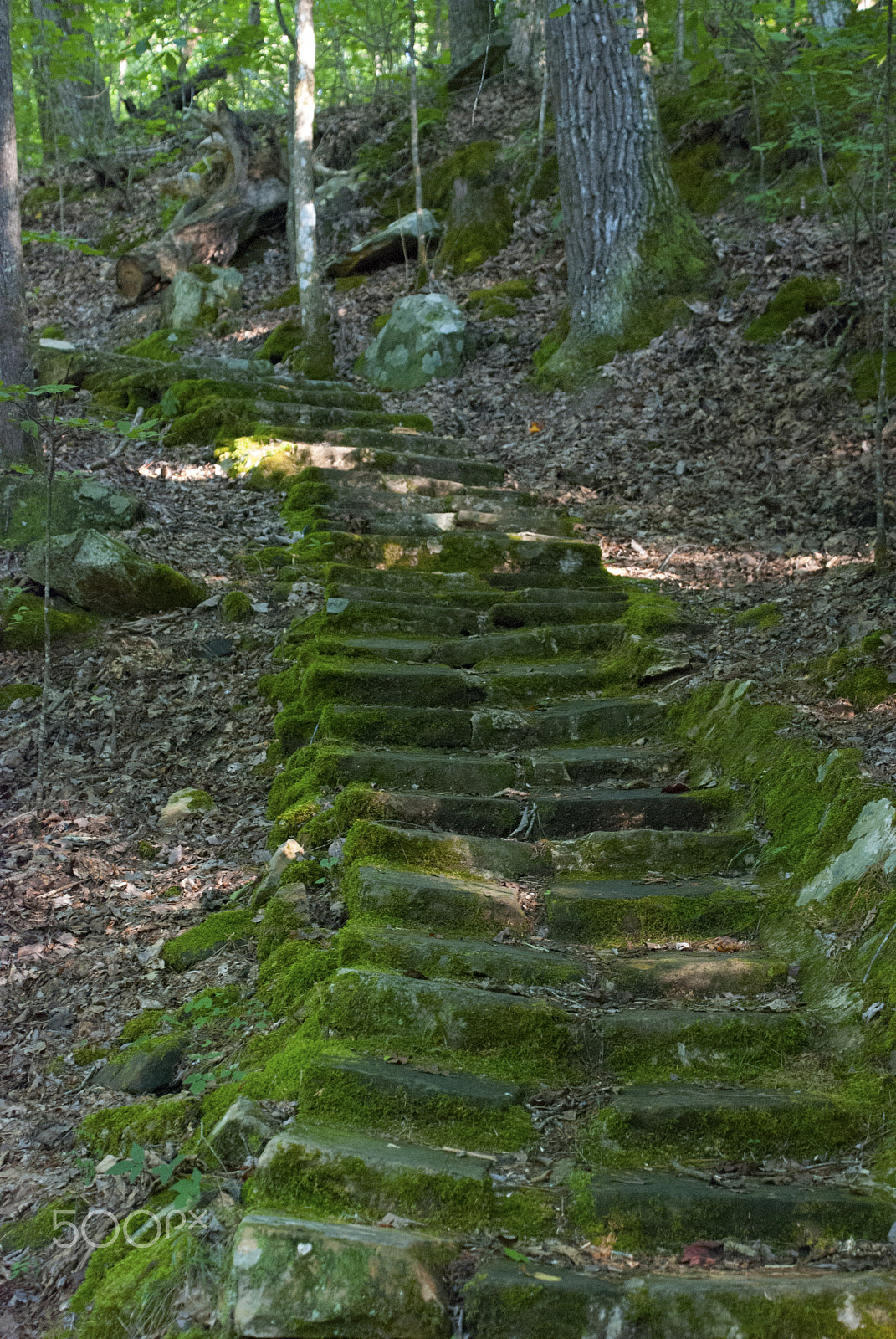 Nikon D40X sample photo. Stone steps tishomingo two photography