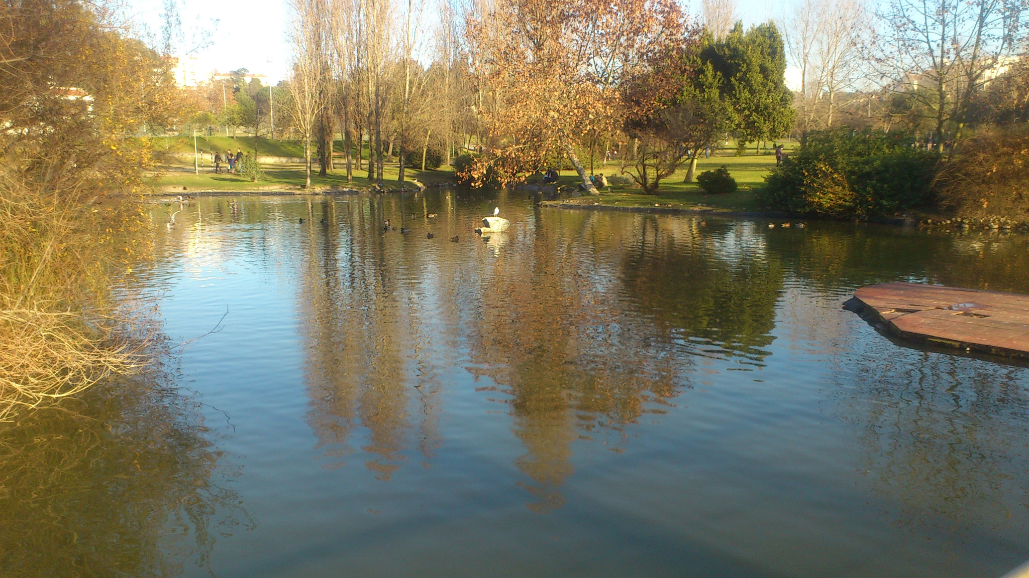 Sony Ericsson Xperia ray sample photo. Lake photography