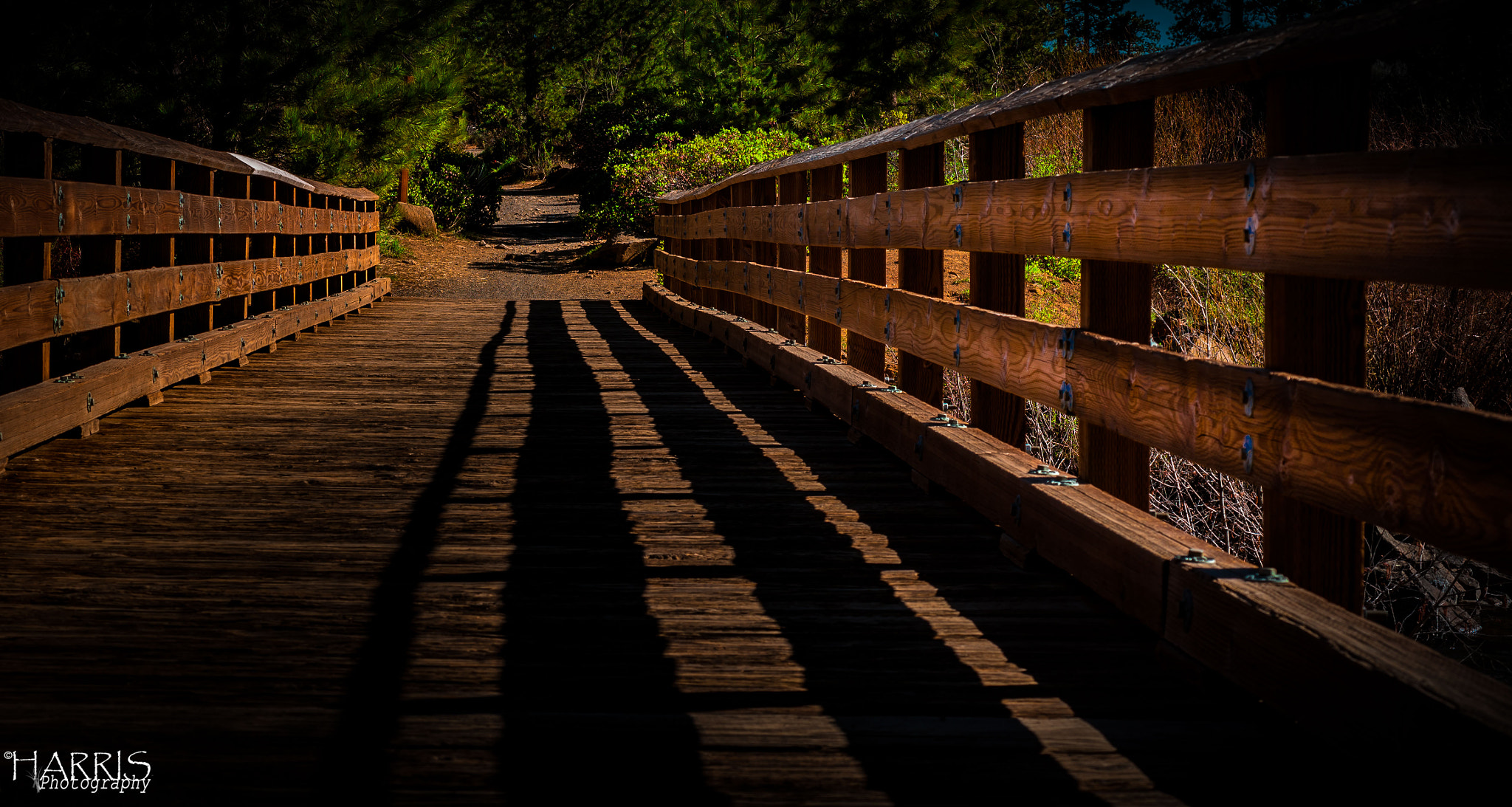 Nikon AF Micro-Nikkor 60mm F2.8D sample photo. Benham falls trailhead photography