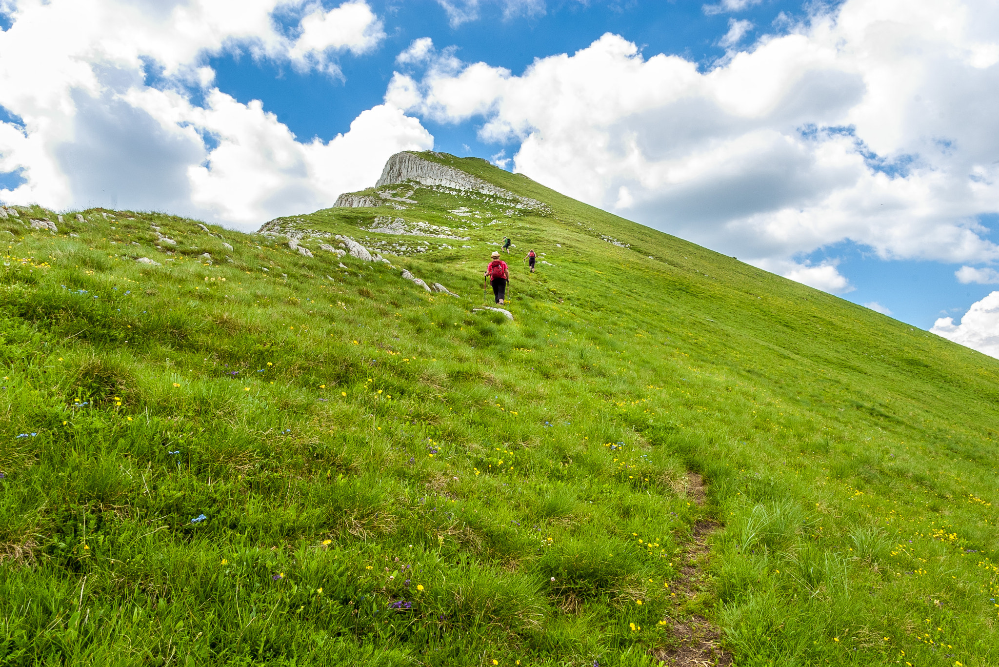 Pentax K100D sample photo. Prutas ascent photography