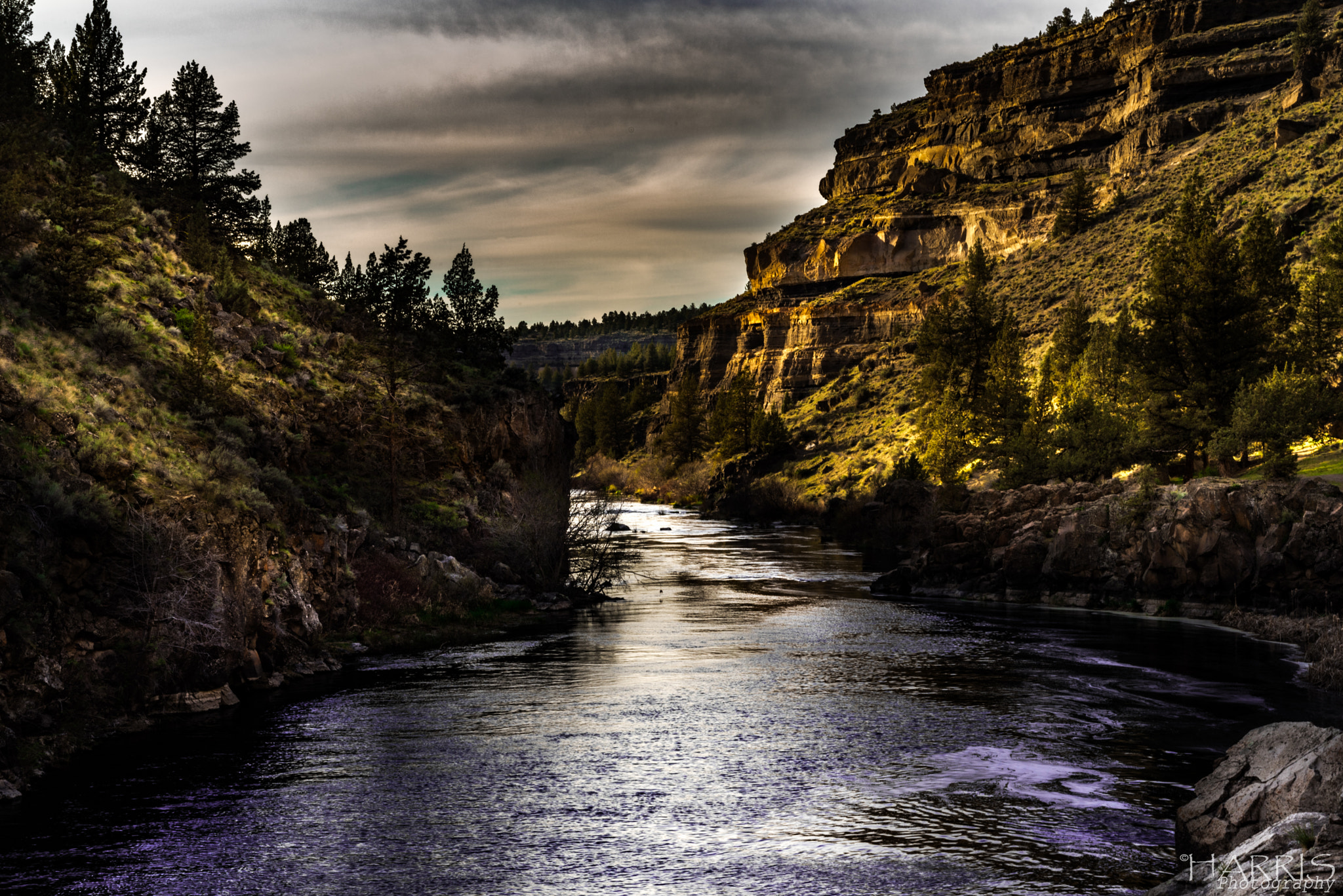 Nikon AF Micro-Nikkor 60mm F2.8D sample photo. Steelhead falls canyon area photography
