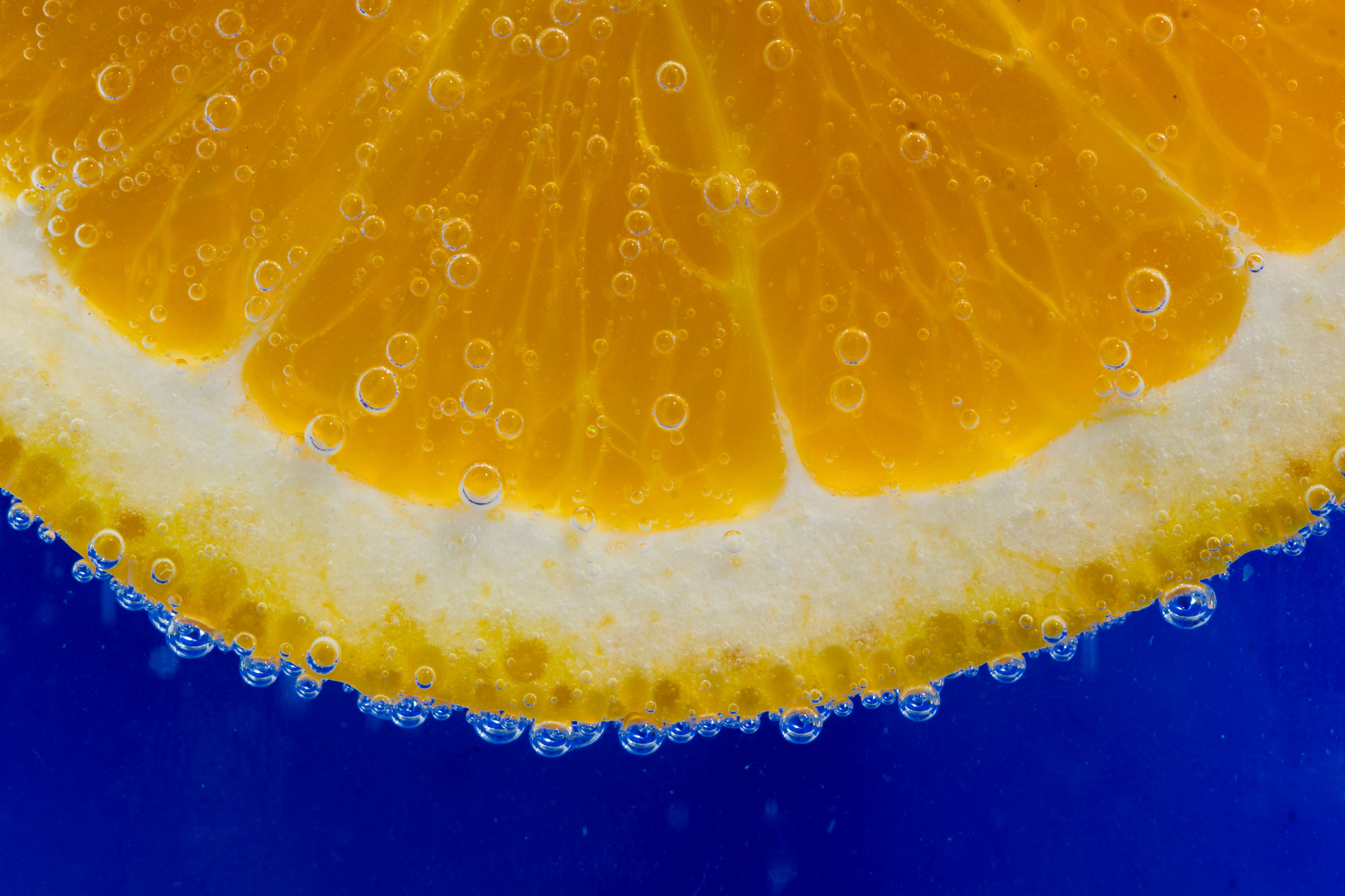 Canon EF 100mm F2.8 Macro USM sample photo. Juicy photography