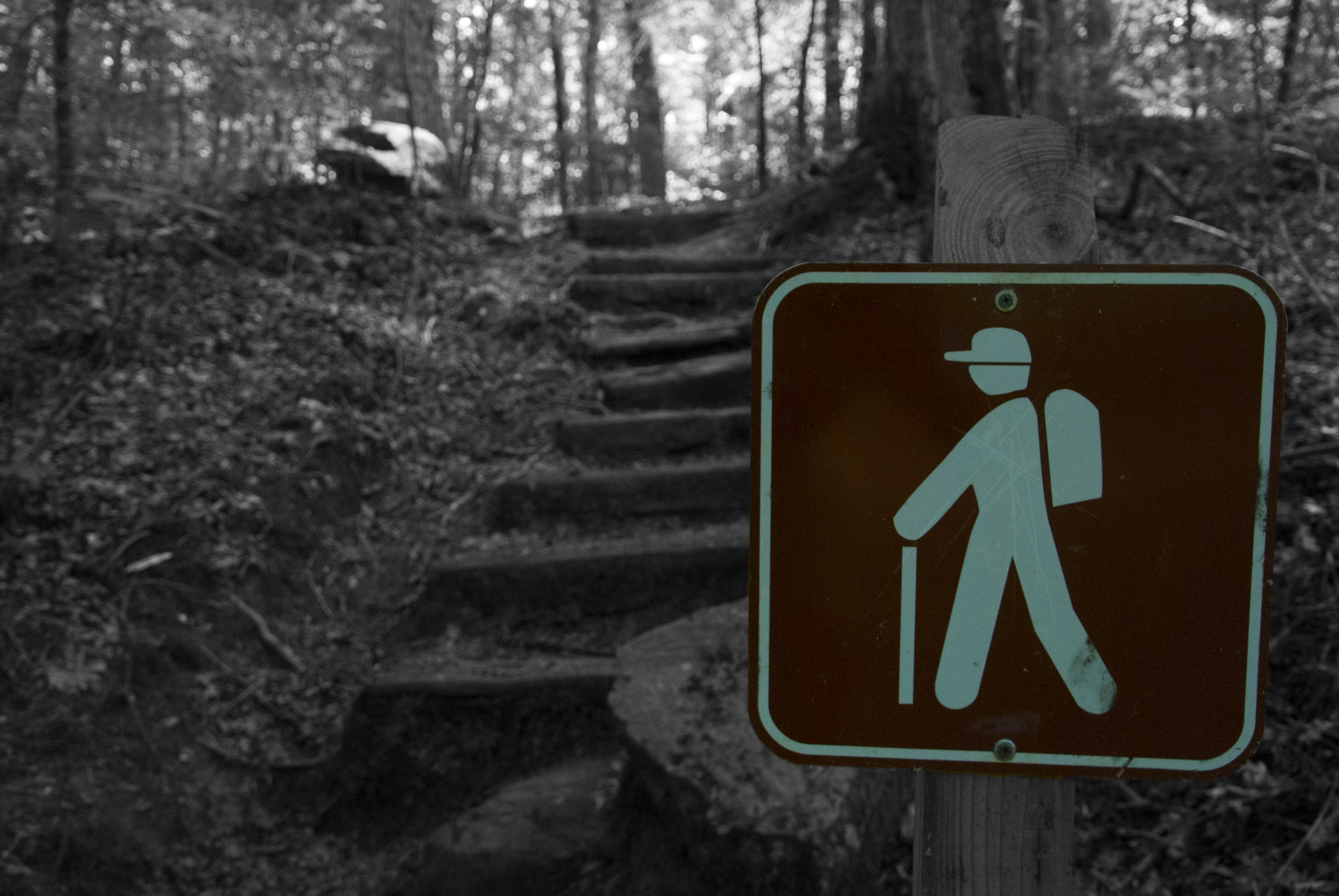 Nikon D40X sample photo. Hikers ahead photography