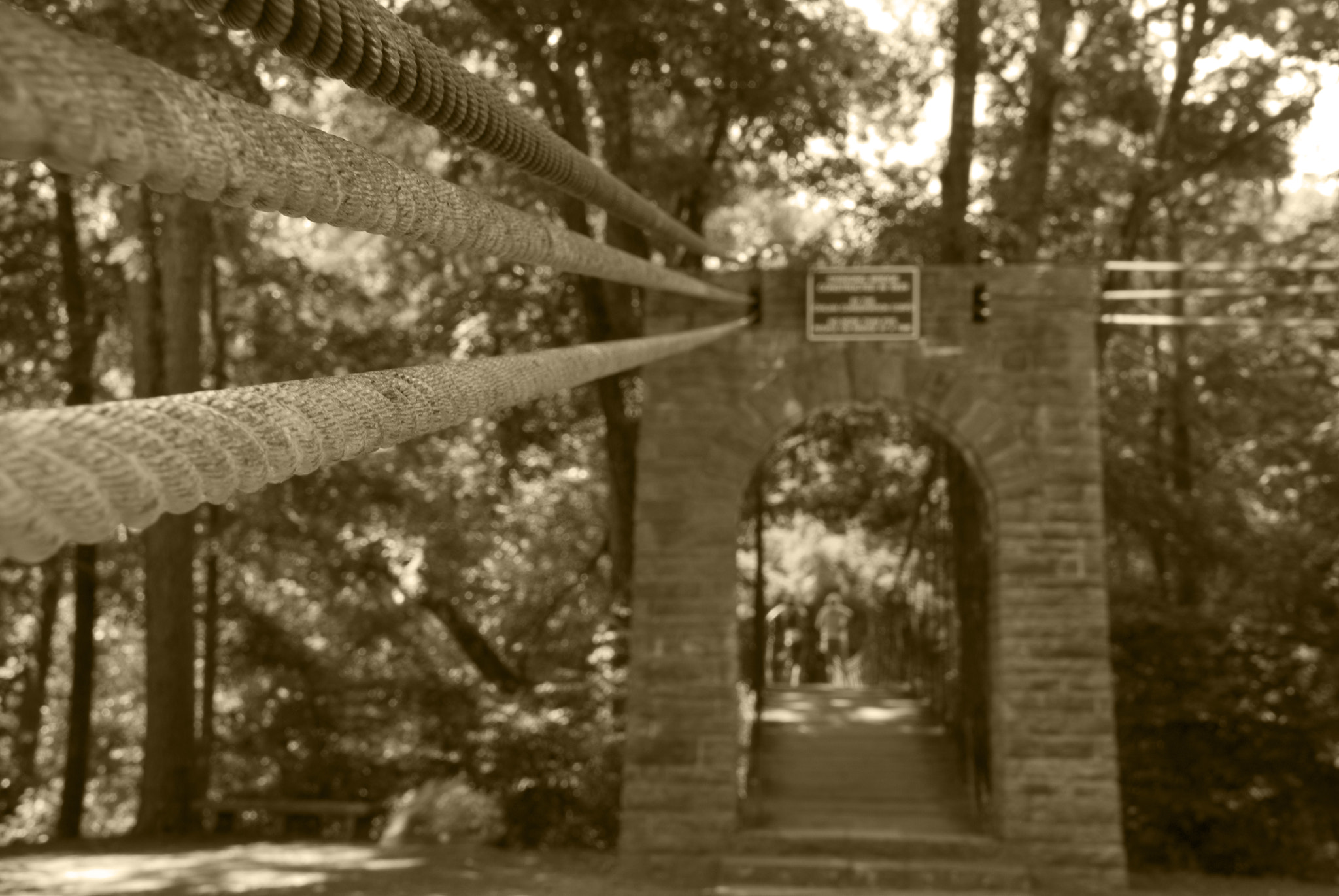 Nikon D40X sample photo. Arch to swinging bridge photography
