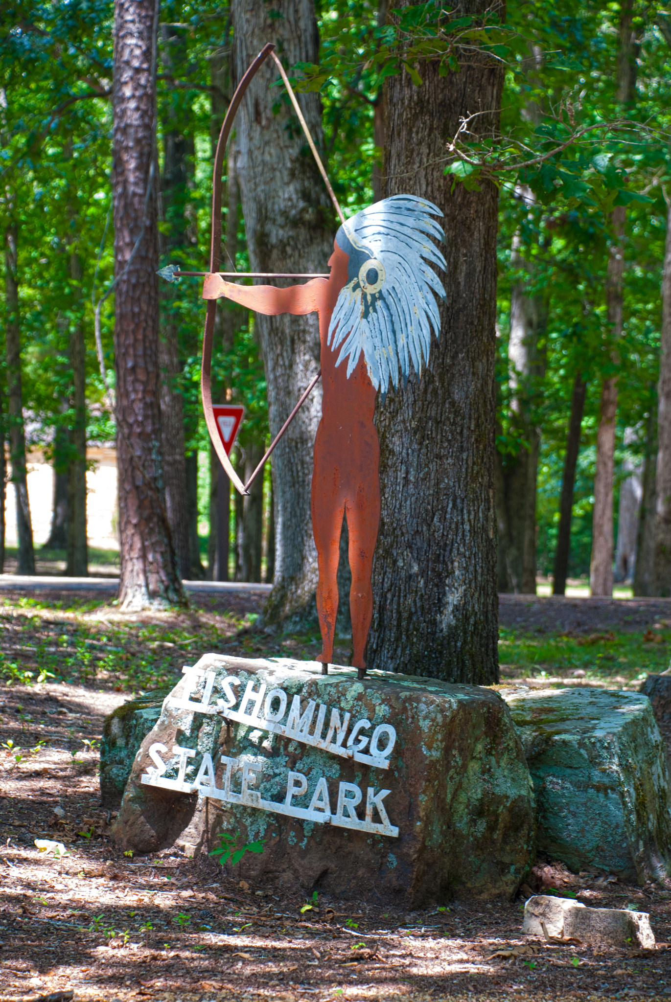 Nikon D40X sample photo. Big chief tishomingo photography