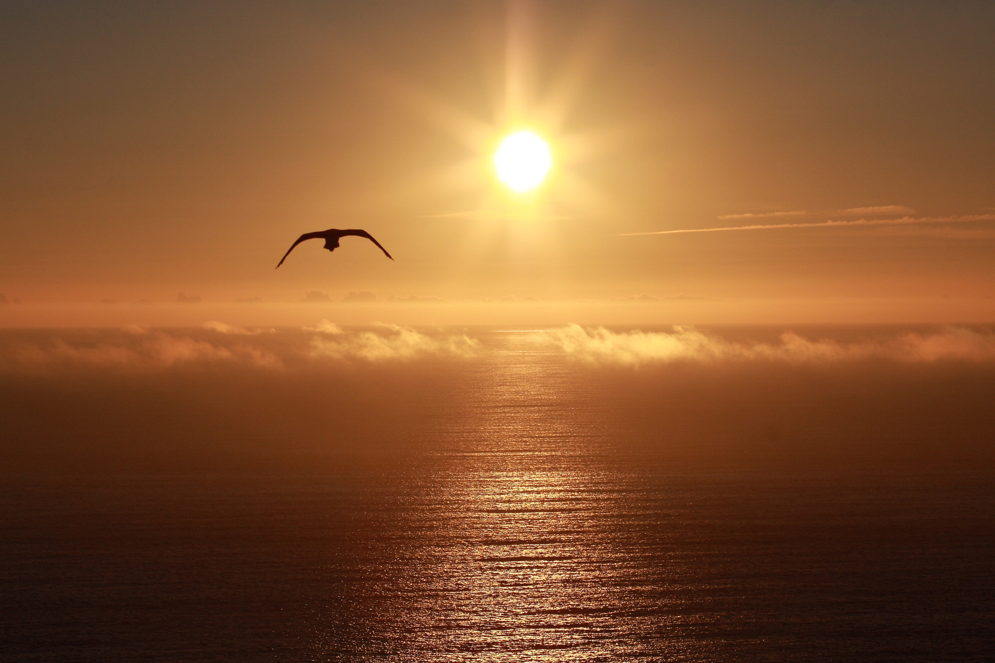Canon EOS 40D + Canon EF 85mm F1.8 USM sample photo. Sunset over the pacific photography