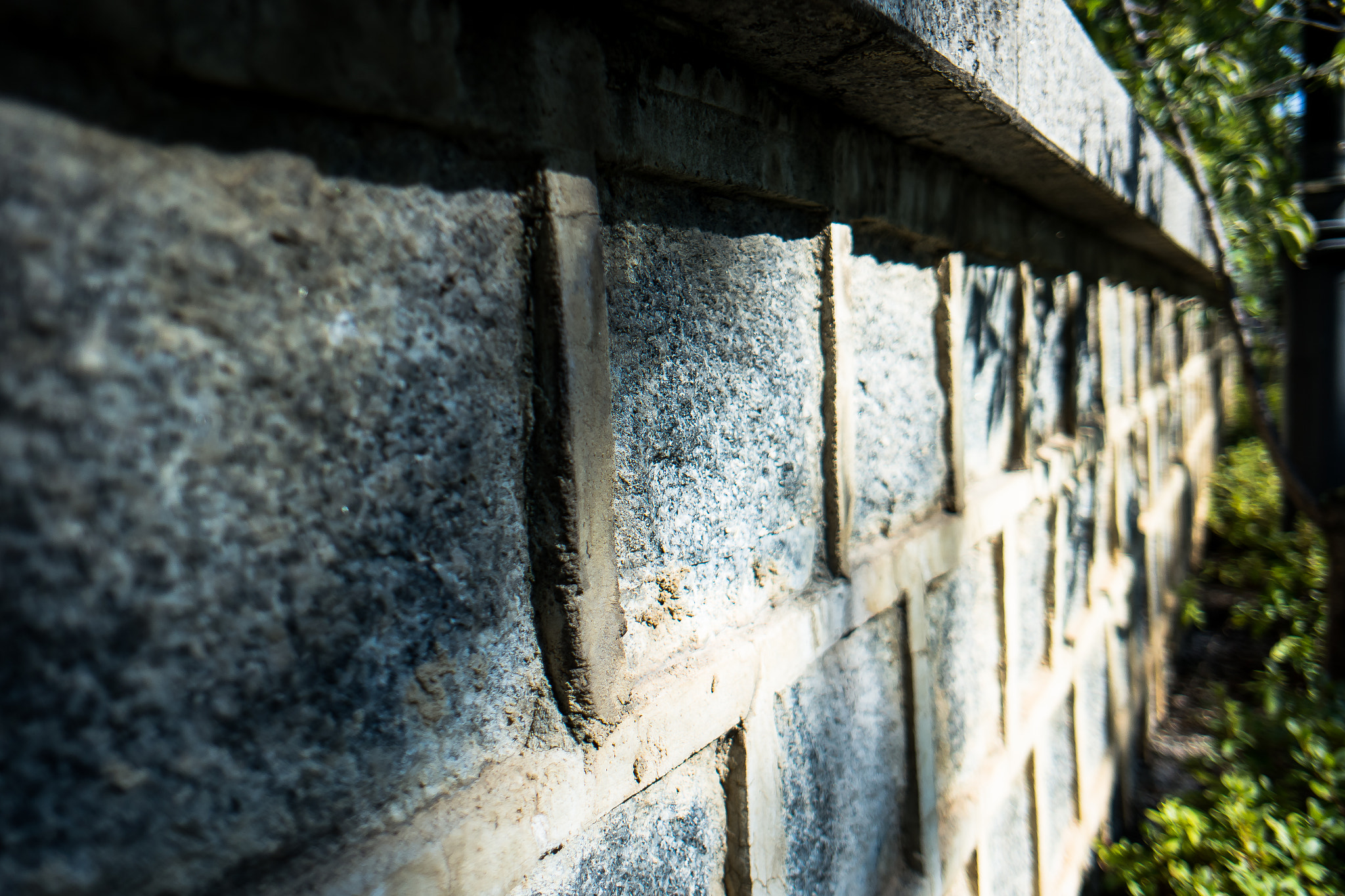 Samsung NX 16mm F2.4 Pancake sample photo. 60.jpg photography