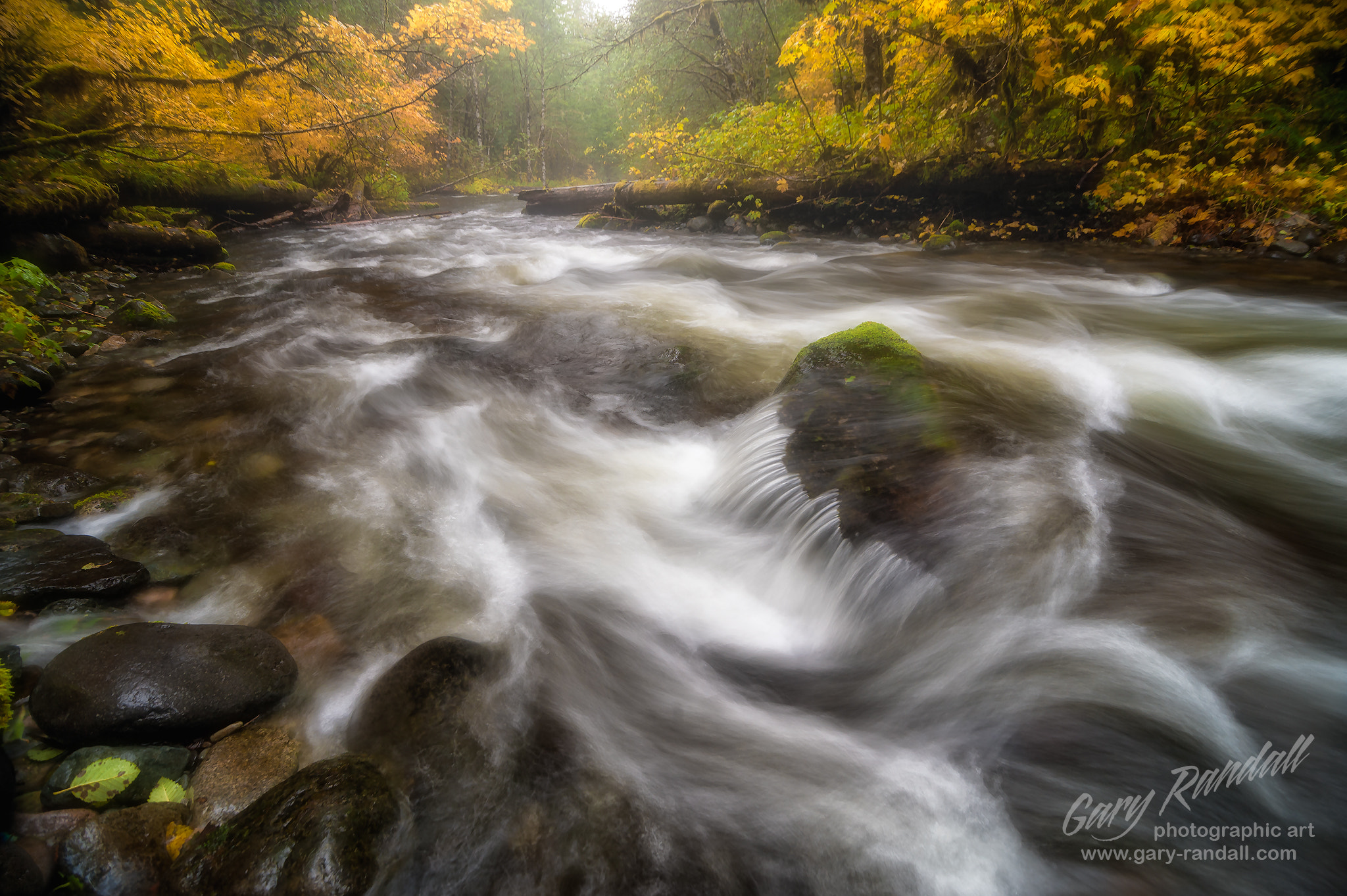 Tokina AT-X Pro 11-16mm F2.8 DX sample photo. Still creek photography
