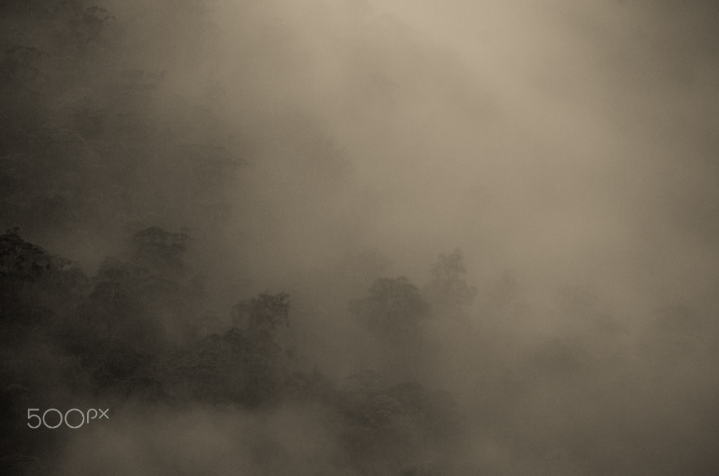 Pentax smc DA 50-200mm F4-5.6 ED WR sample photo. Misty photography
