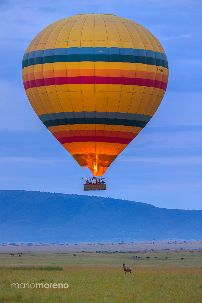 Canon EF 200-400mm F4L IS USM Extender 1.4x sample photo. The balloon photography