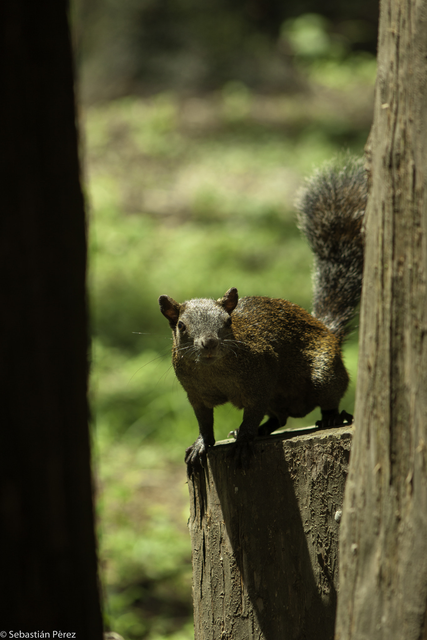 Canon EOS 50D + EF75-300mm f/4-5.6 sample photo. ¿que haces? photography