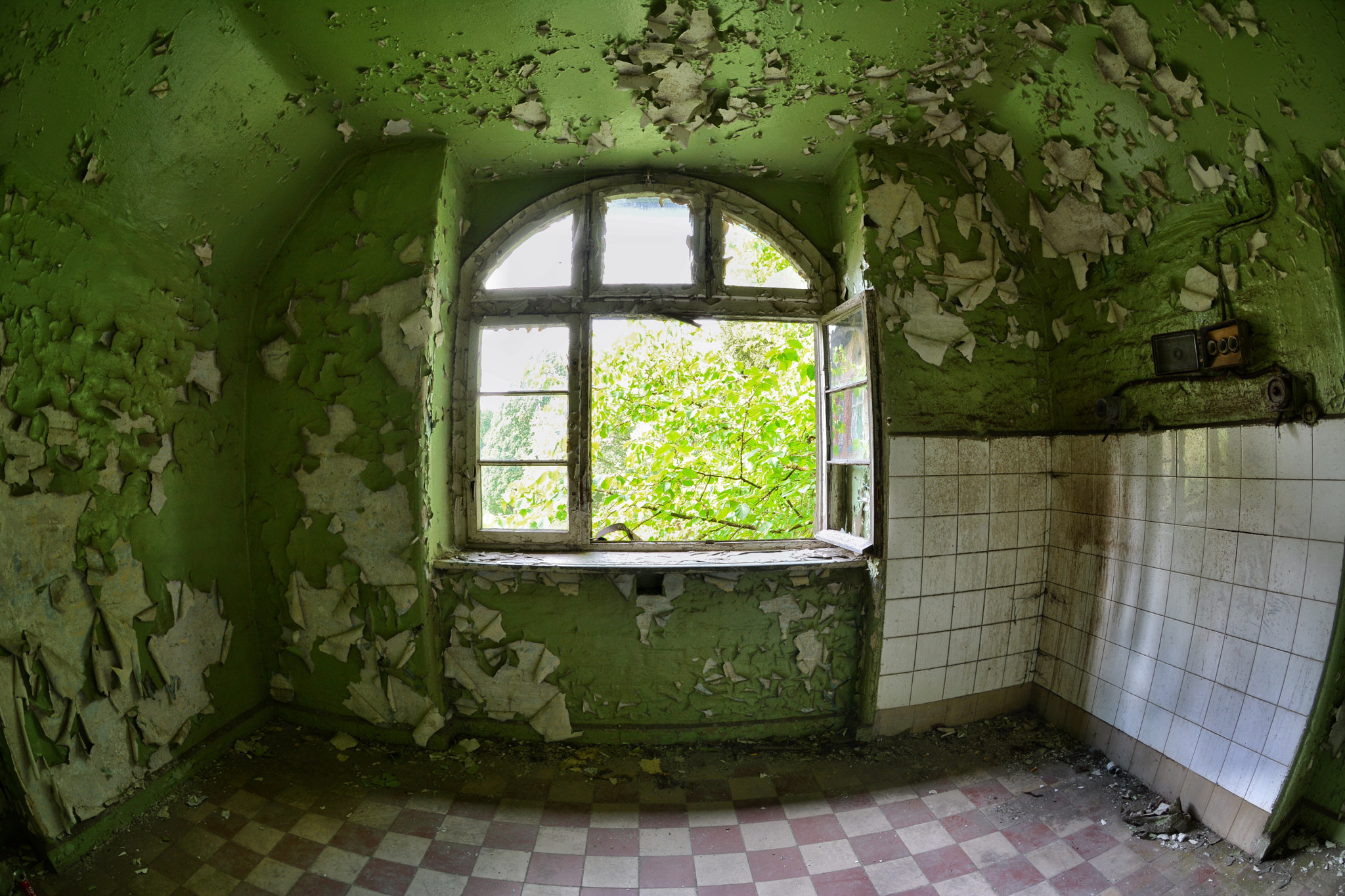 Nikon AF DX Fisheye-Nikkor 10.5mm F2.8G ED sample photo. Green room  photography