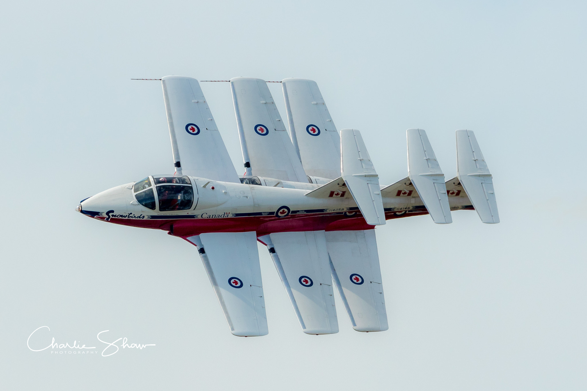 Canon EF 200-400mm F4L IS USM Extender 1.4x sample photo. Snow bird stack photography