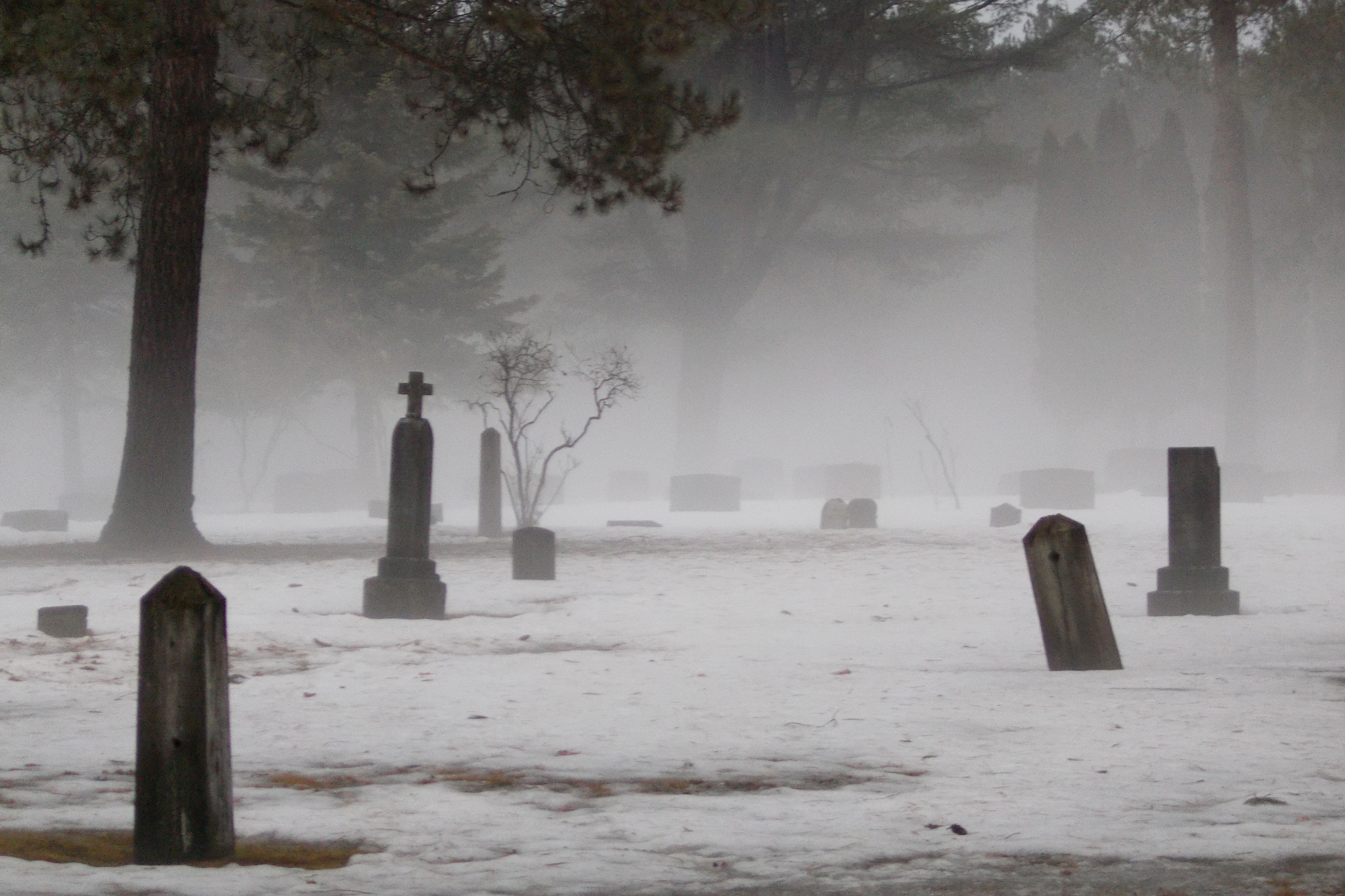 Nikon COOLPIX L27 sample photo. Atmospheric cemetery photography