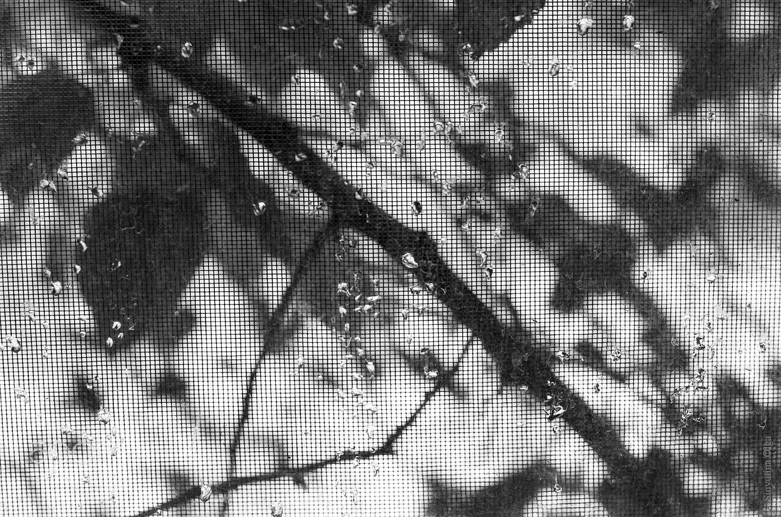 Pentax K-5 IIs + A Series Lens sample photo. Rain photography