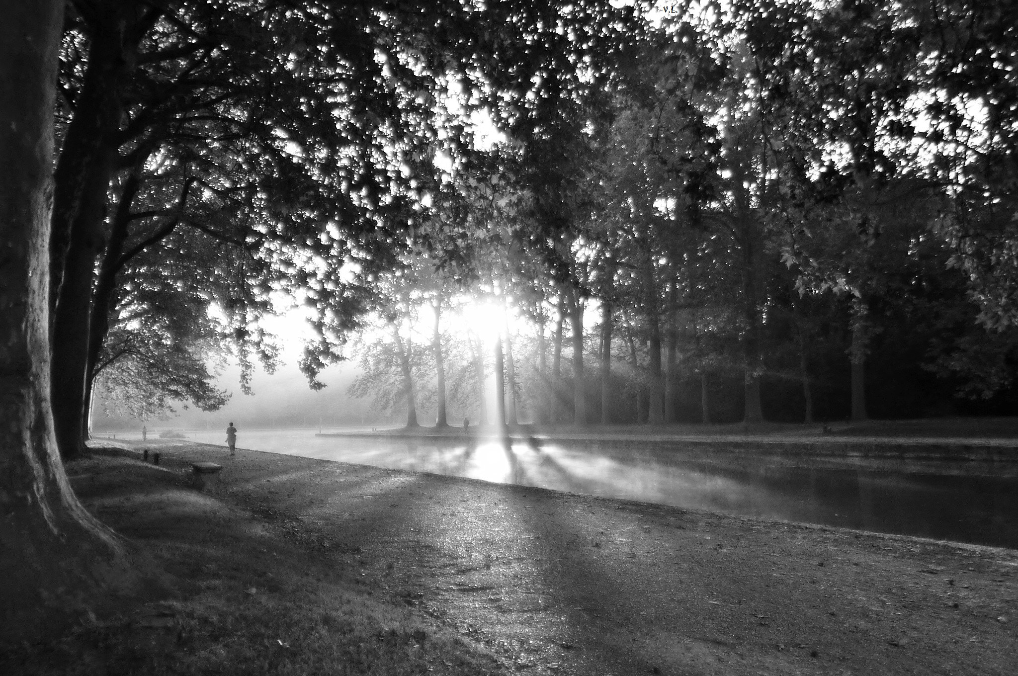 Panasonic DMC-ZS1 sample photo. Parc de sceaux photography