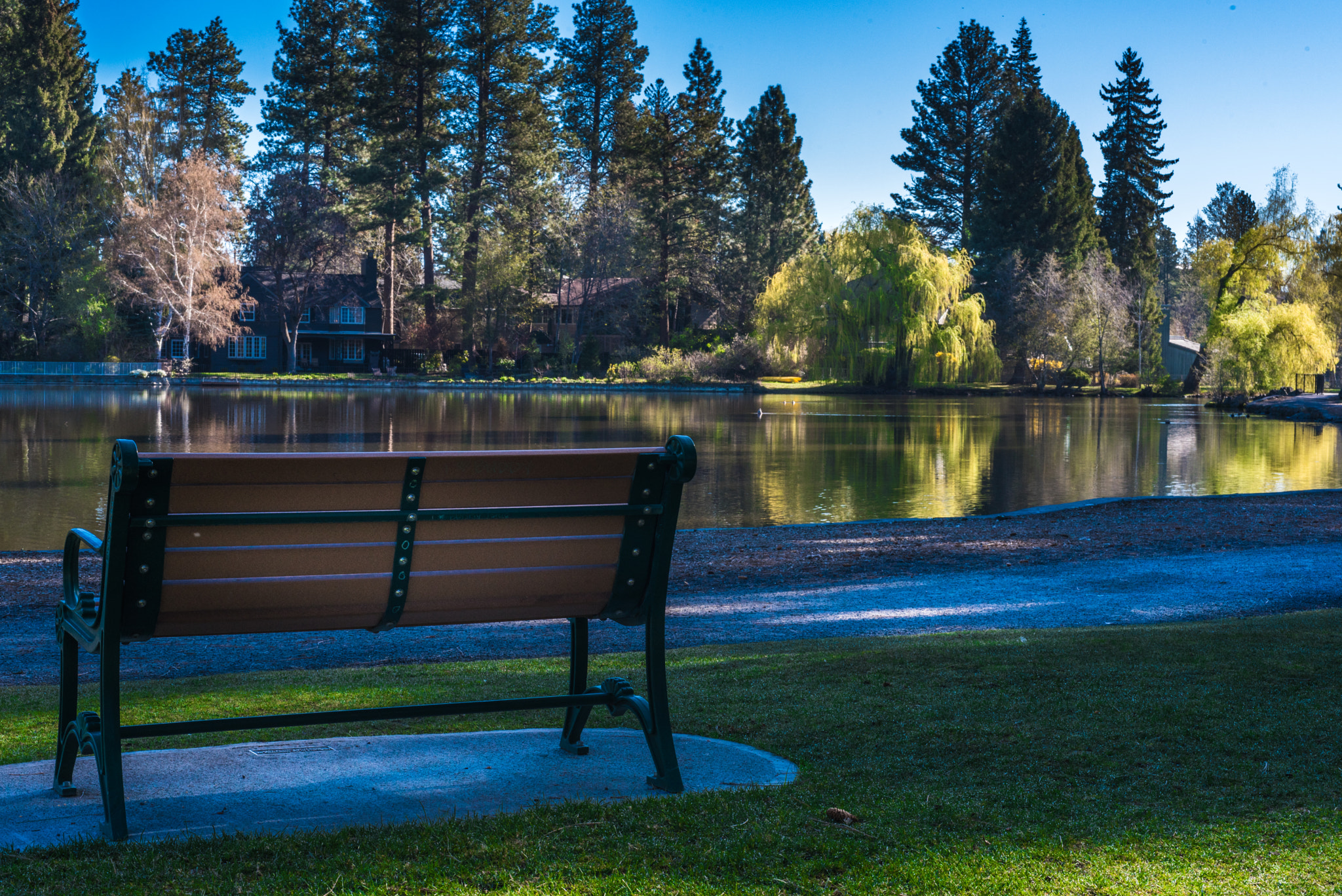 Nikon AF Micro-Nikkor 60mm F2.8D sample photo. Drake park photography