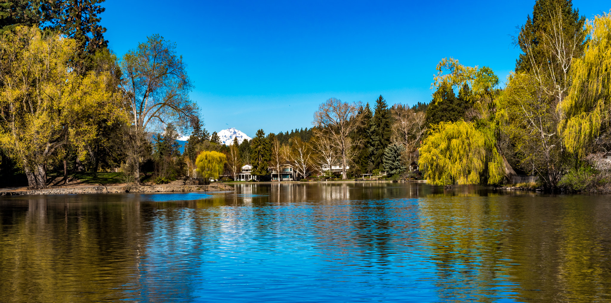Nikon AF Micro-Nikkor 60mm F2.8D sample photo. Drake park photography