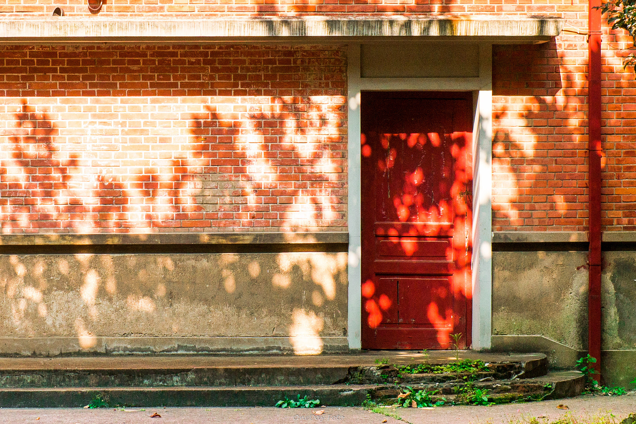 Fujifilm X-A1 sample photo. Campus time photography