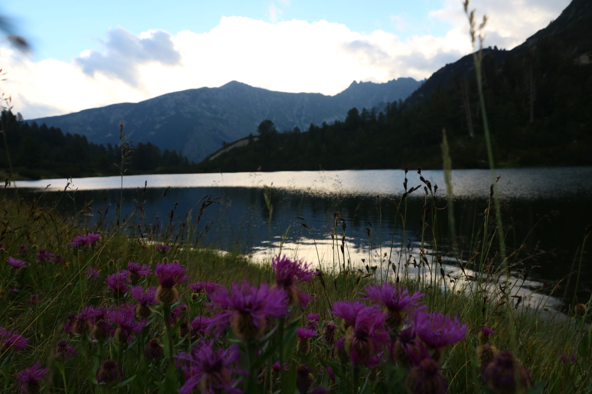 Canon EOS 750D (EOS Rebel T6i / EOS Kiss X8i) sample photo. Natura  photography