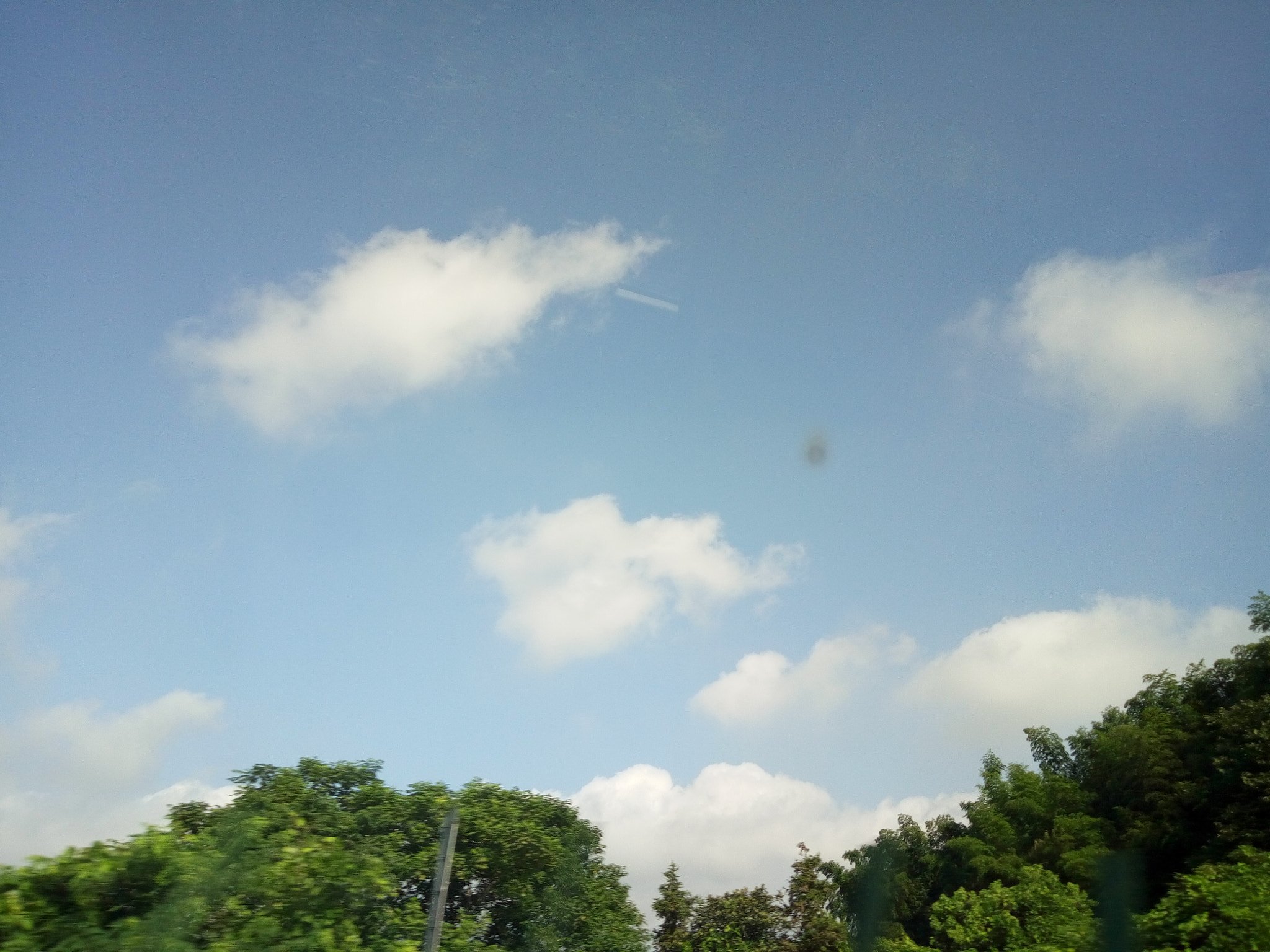 OPPO R7s sample photo