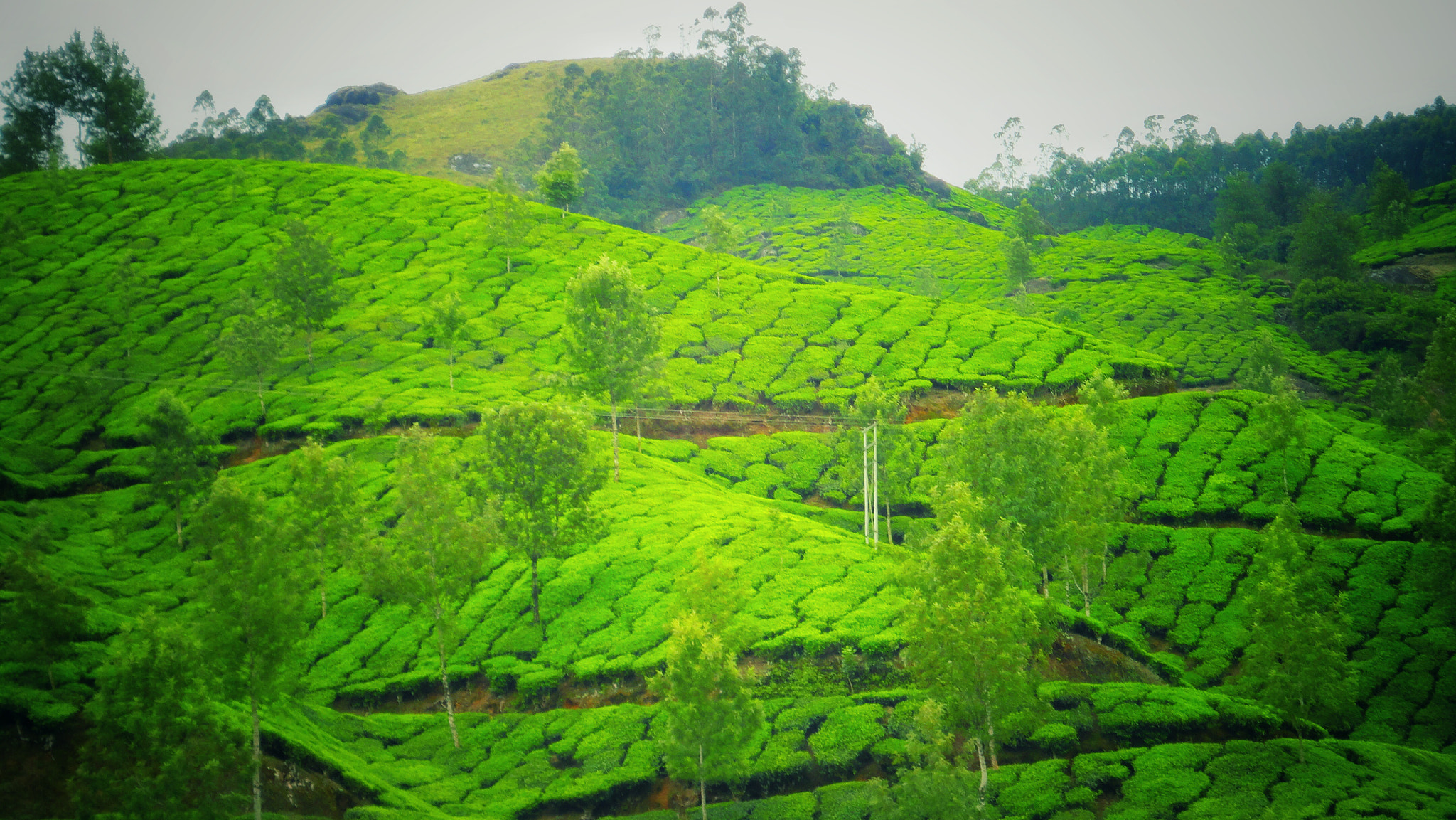 Sony DSC-W360 sample photo. Kerala 2 photography