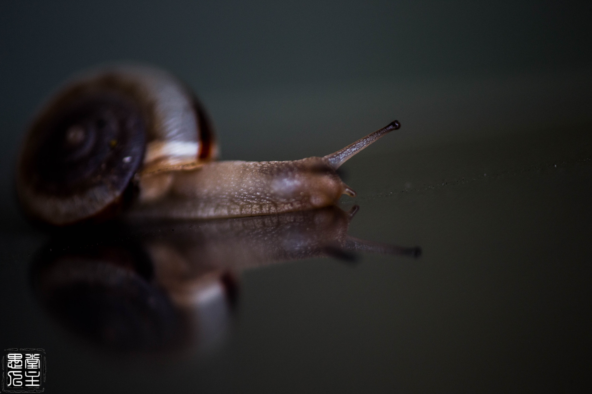 Canon EF 180mm F3.5L Macro USM sample photo. 040.jpg photography