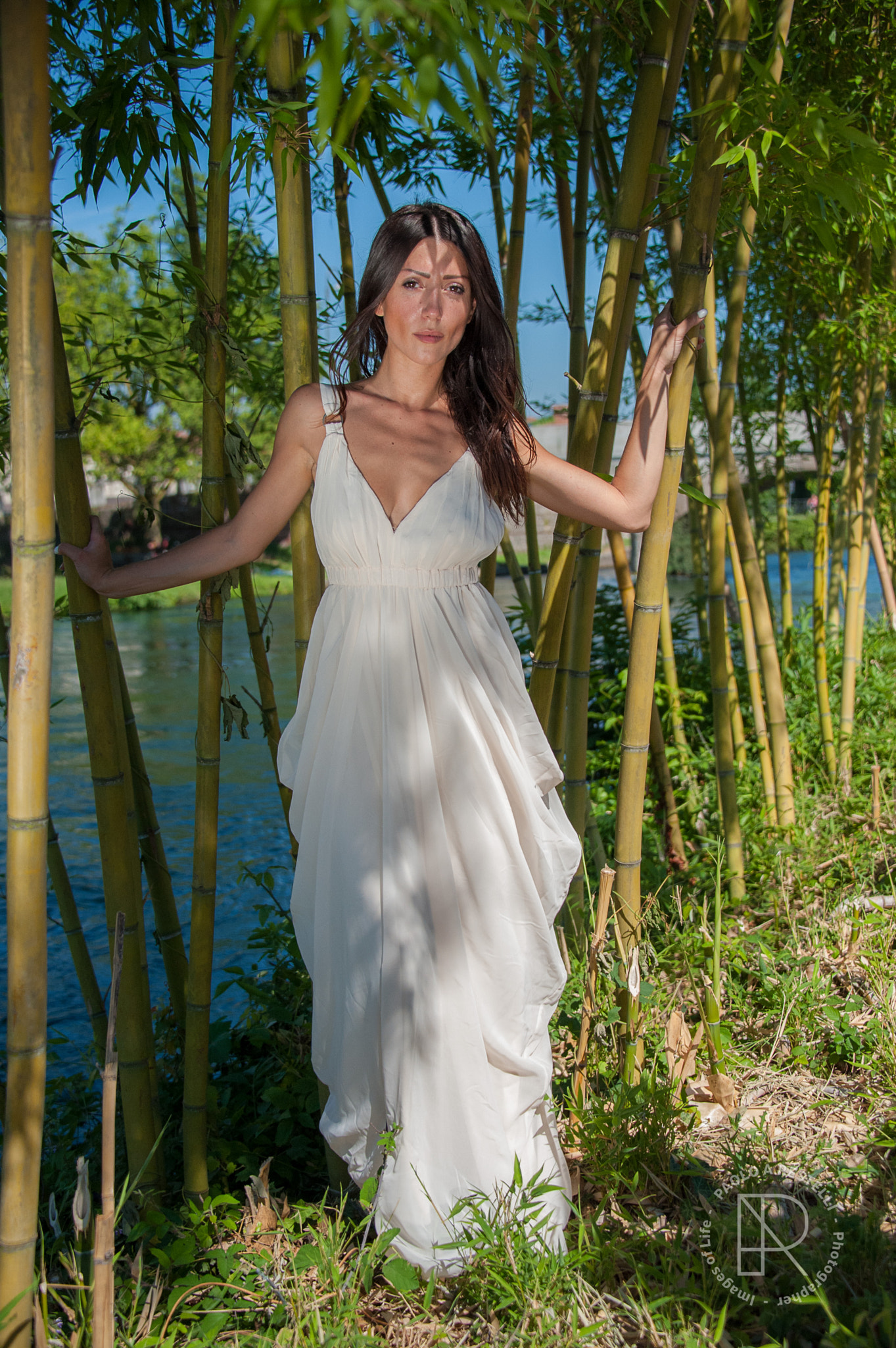 Nikon D3 sample photo. Francy photography