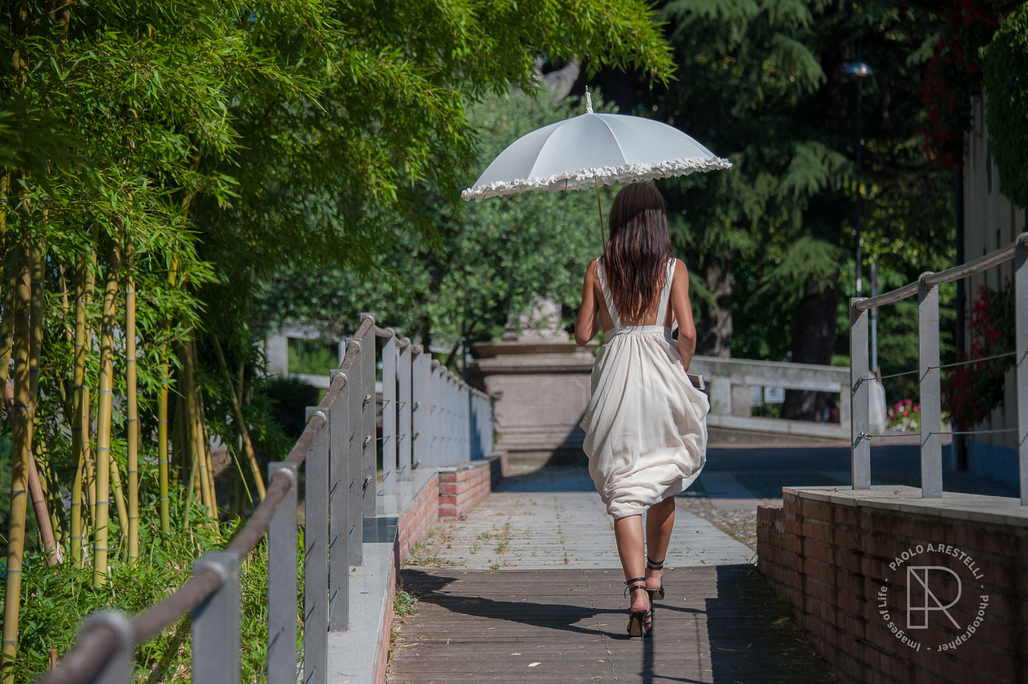 Nikon D3 sample photo. Francy photography