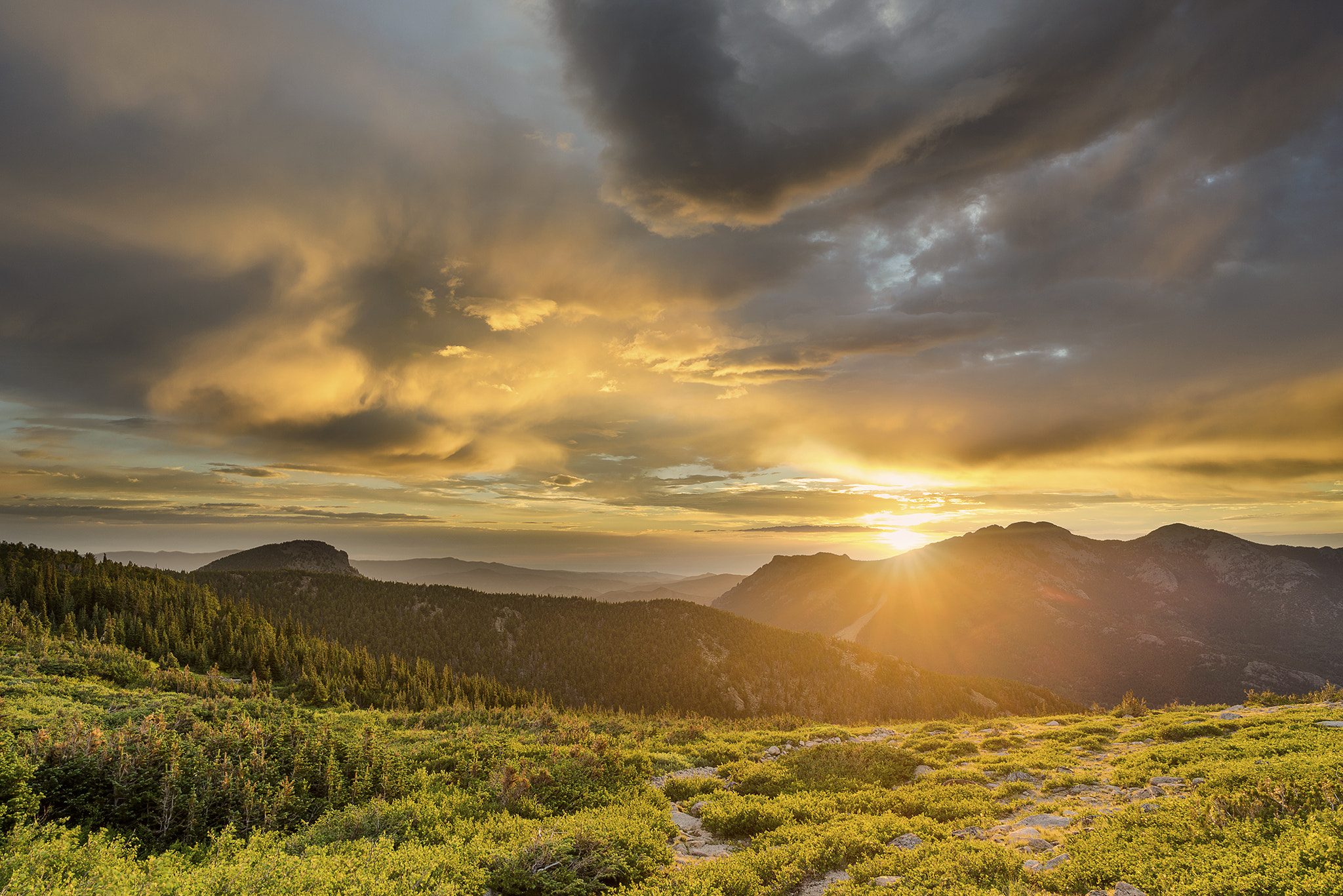Sony a7R + ZEISS Batis 25mm F2 sample photo. Path to the sun photography
