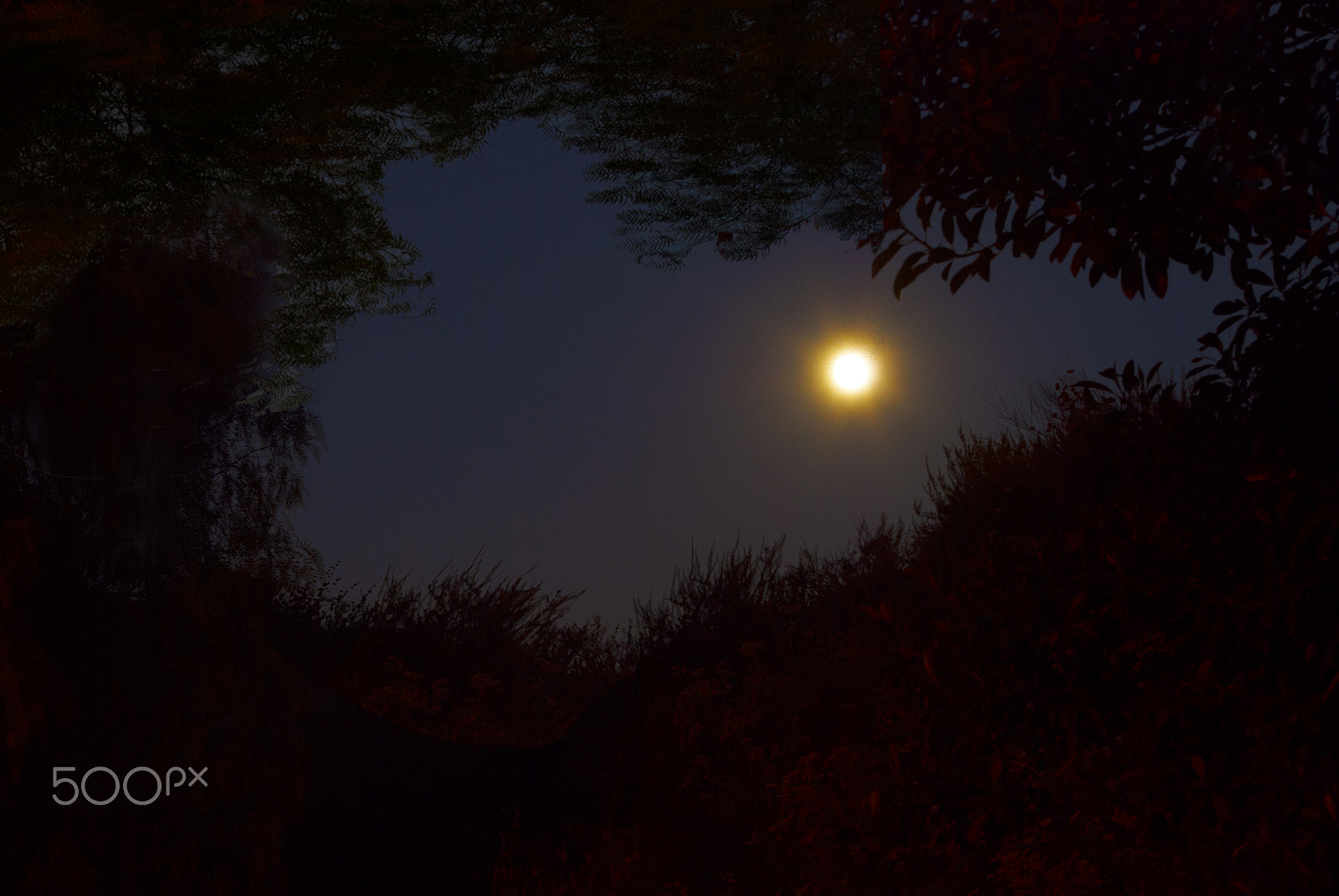 Nikon D80 sample photo. Vibrant moon photography