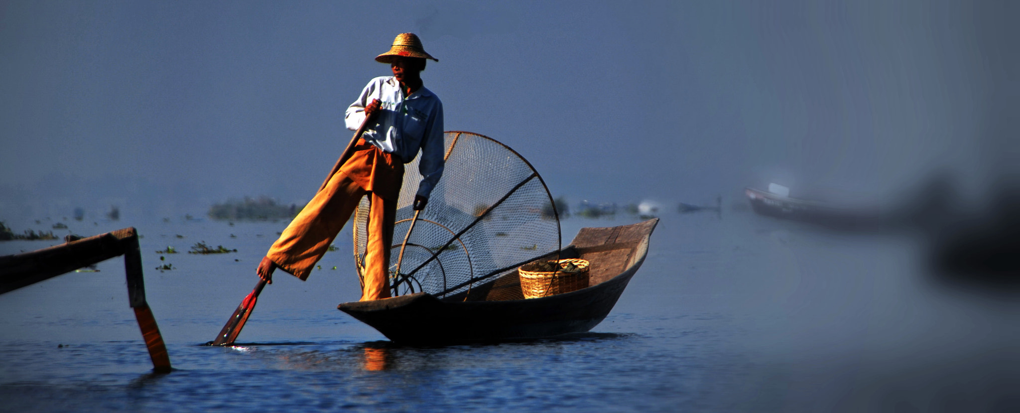 Sigma 18-250mm F3.5-6.3 DC OS HSM sample photo. Fisher (myanmar) photography
