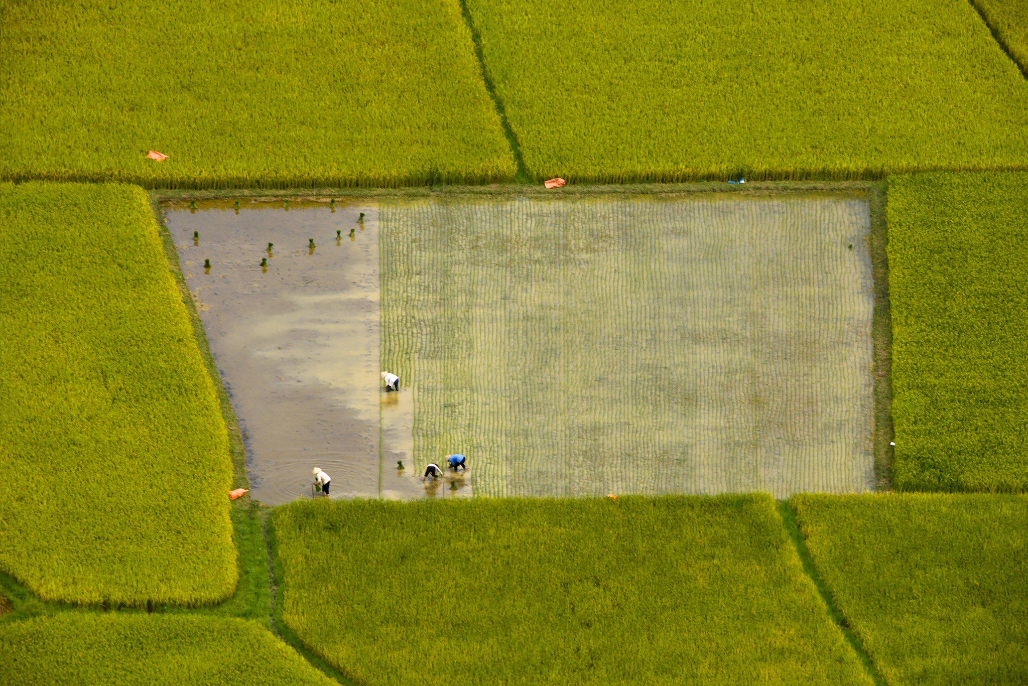 Sigma 150-600mm F5-6.3 DG OS HSM | S sample photo. Textile workers. photography