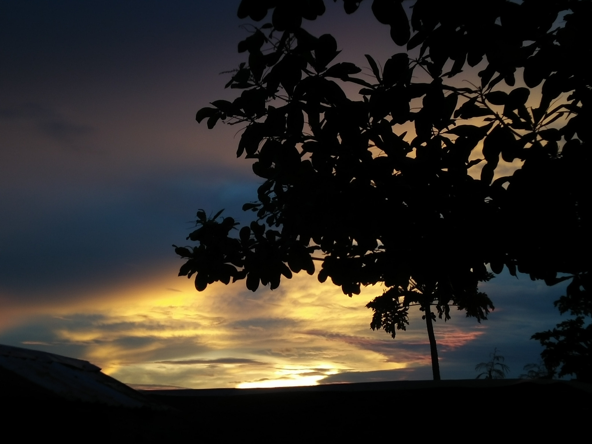 OPPO A51w sample photo. Love the sunset photography