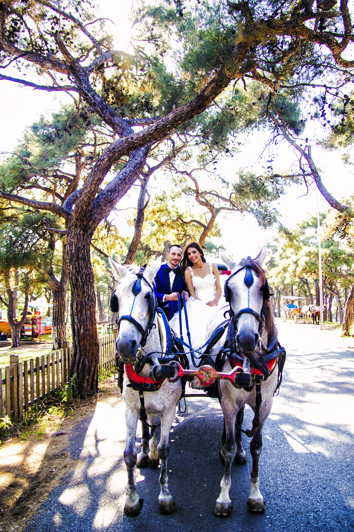 Sigma 17-70mm F2.8-4 DC Macro OS HSM sample photo. Elif&serkan photography