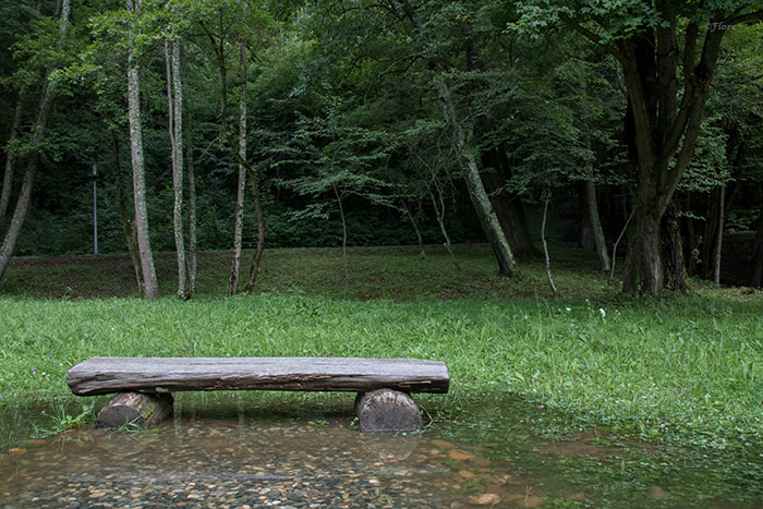 Canon EOS 750D (EOS Rebel T6i / EOS Kiss X8i) sample photo. Cu vedere photography