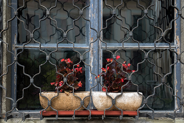 Canon EOS 750D (EOS Rebel T6i / EOS Kiss X8i) sample photo. Doua mandre photography