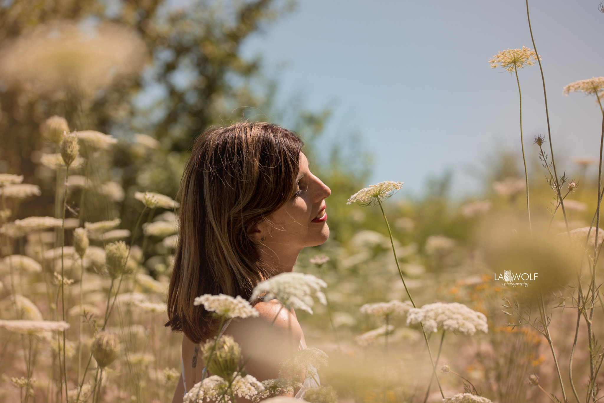 Nikon D5 sample photo. Latest summertime shootings photography