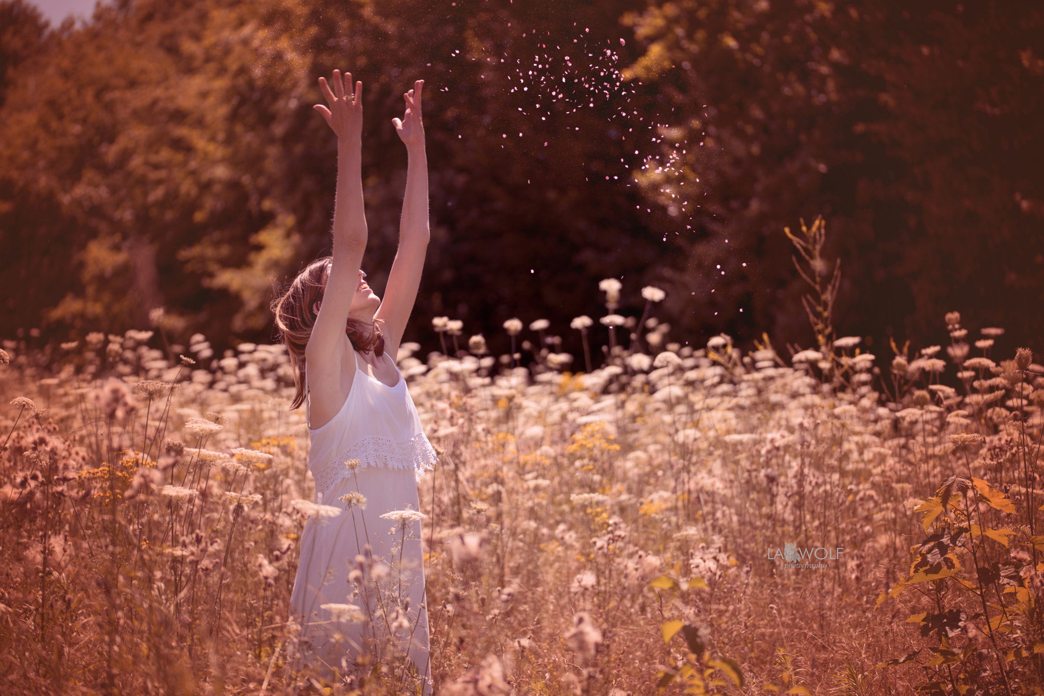 Nikon D5 sample photo. Latest summertime shootings photography