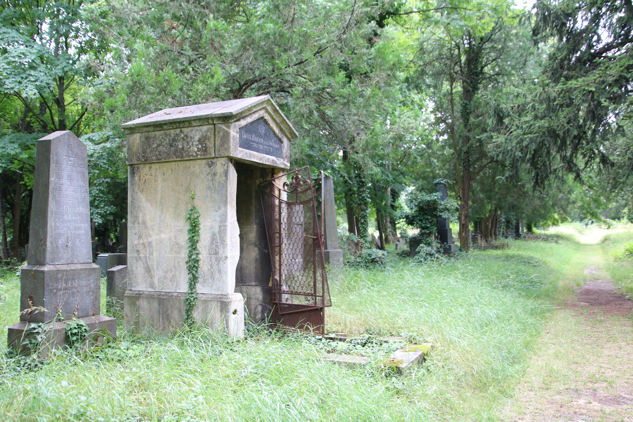 Canon EOS 760D (EOS Rebel T6s / EOS 8000D) sample photo. Escape of the undead? photography
