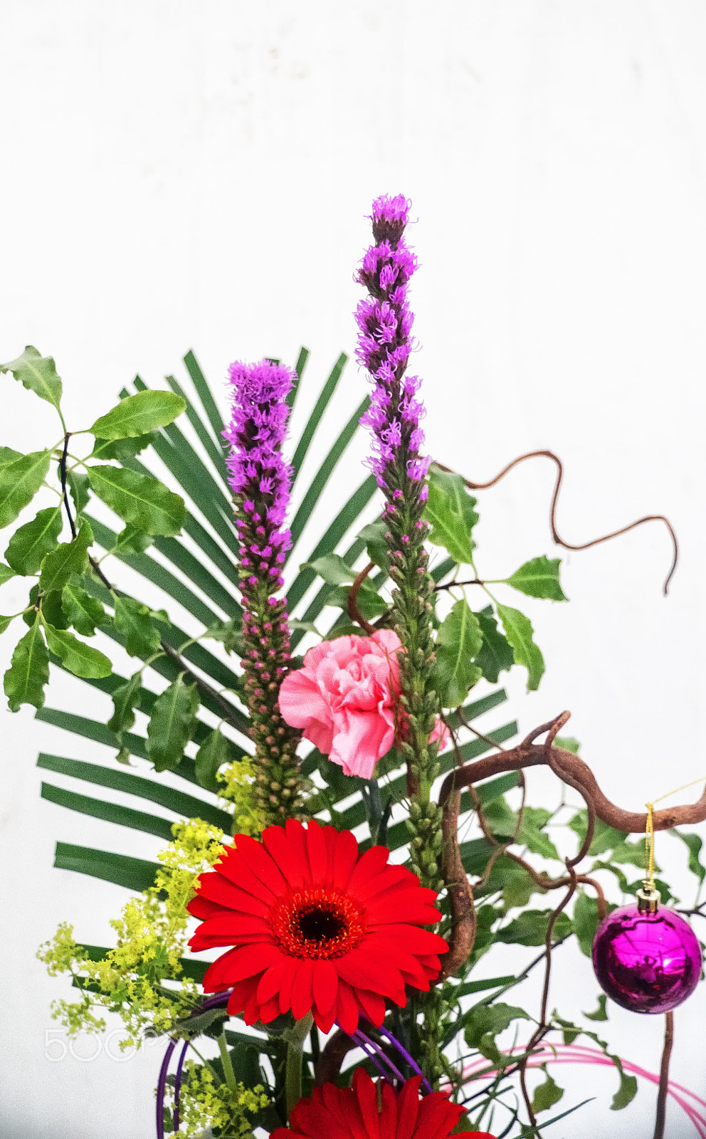 Sony DT 18-250mm F3.5-6.3 sample photo. Flower display photography